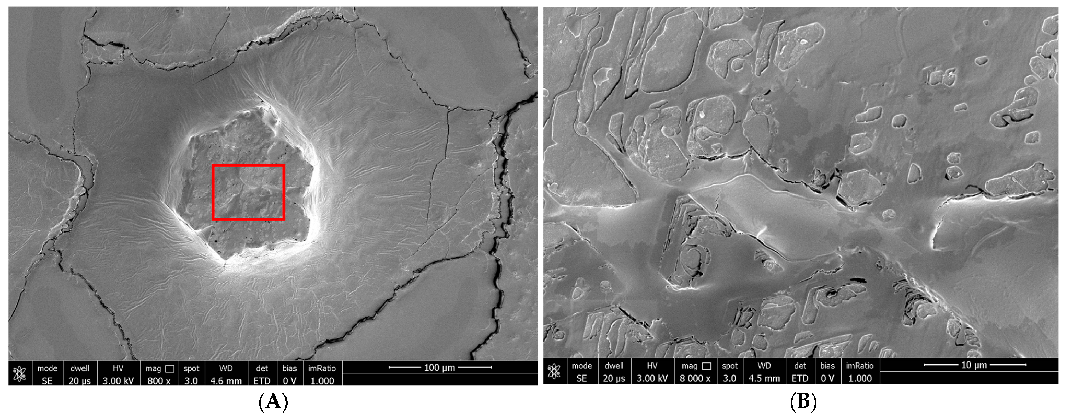 Biomedicines 12 01945 g002