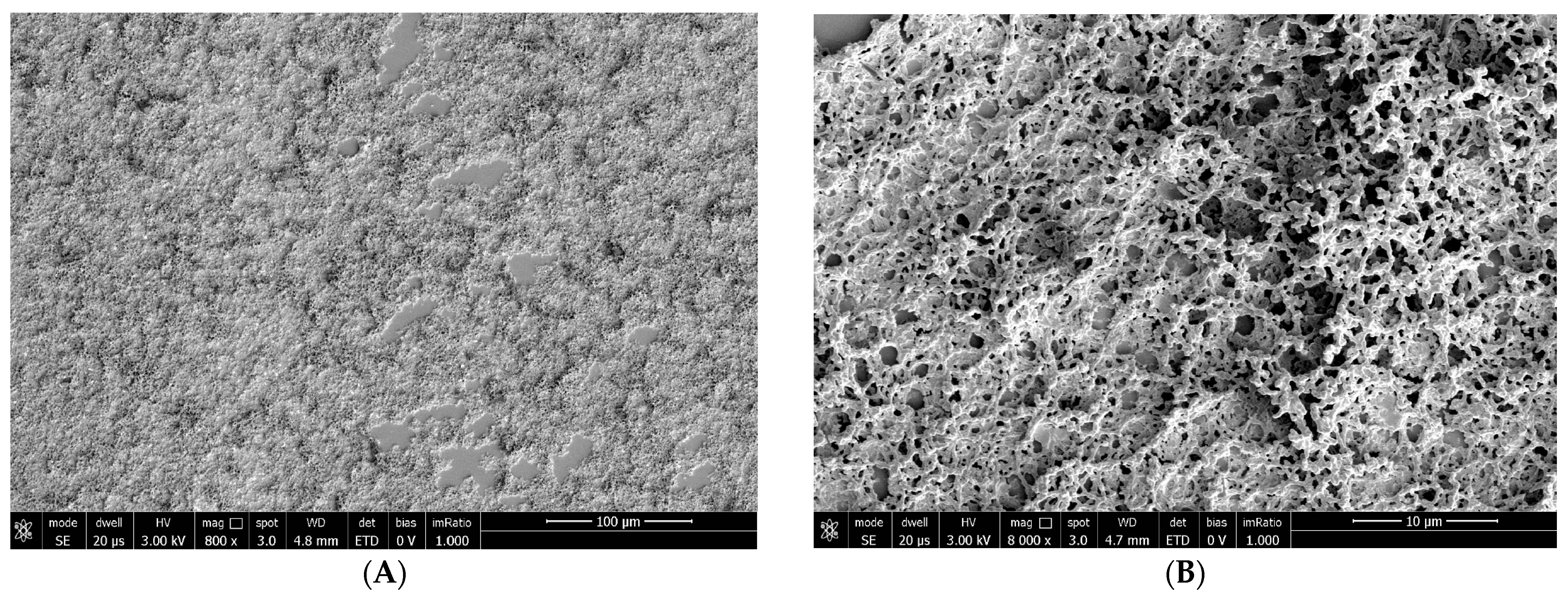 Biomedicines 12 01945 g005