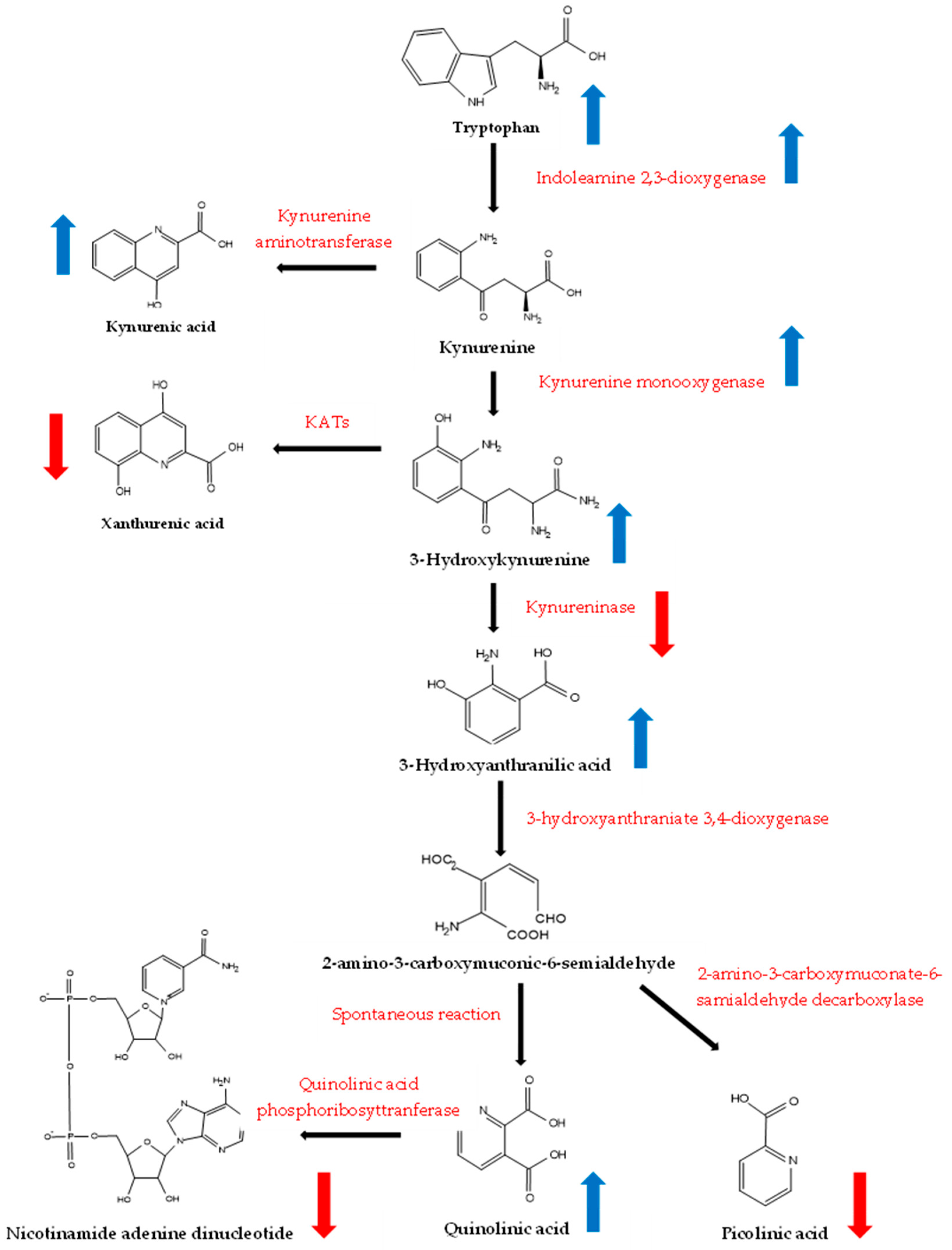 Biomedicines 12 01947 g006 Biomedicines 12 01947 g006