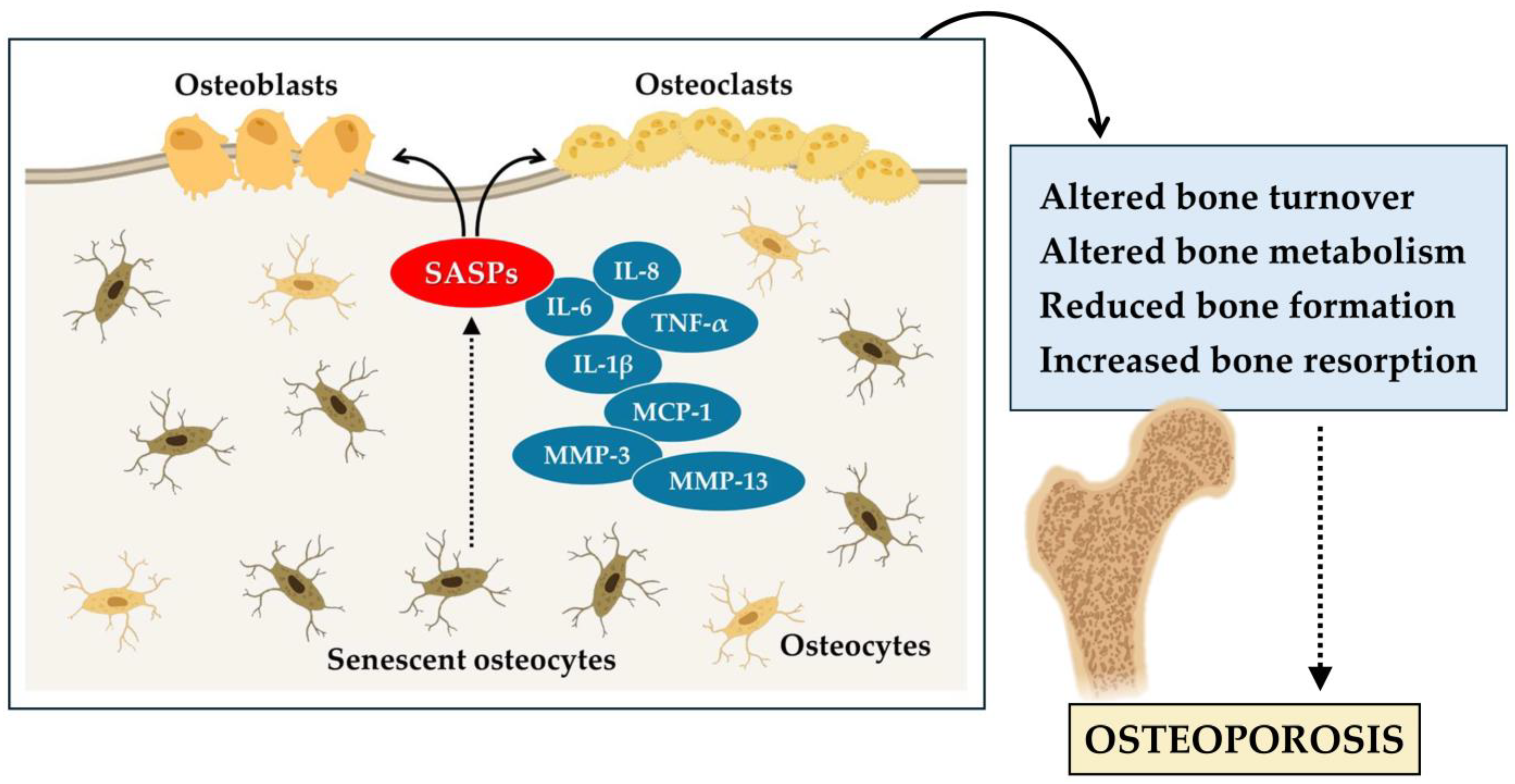 Biomedicines 12 01948 g001
