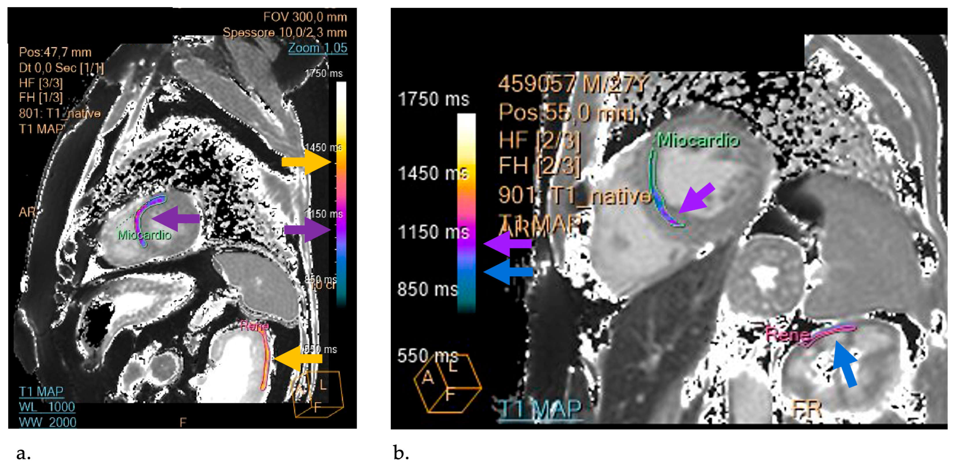 Biomedicines 12 01950 g002