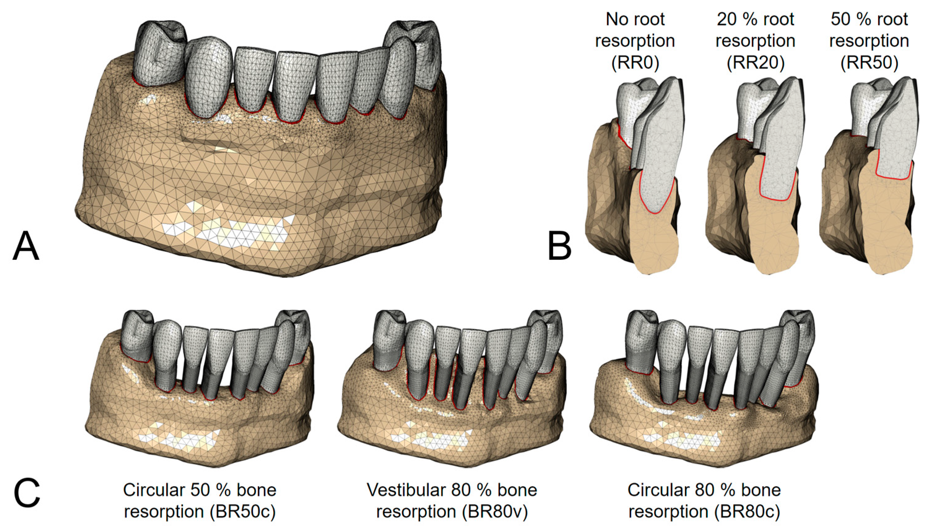 Biomedicines 12 01959 g001