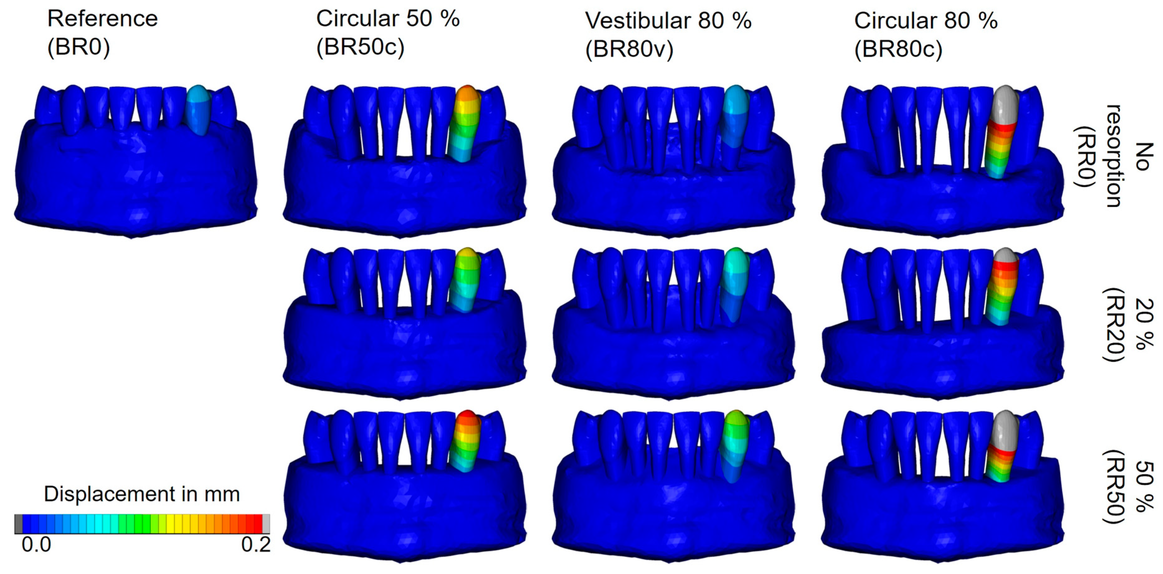 Biomedicines 12 01959 g003