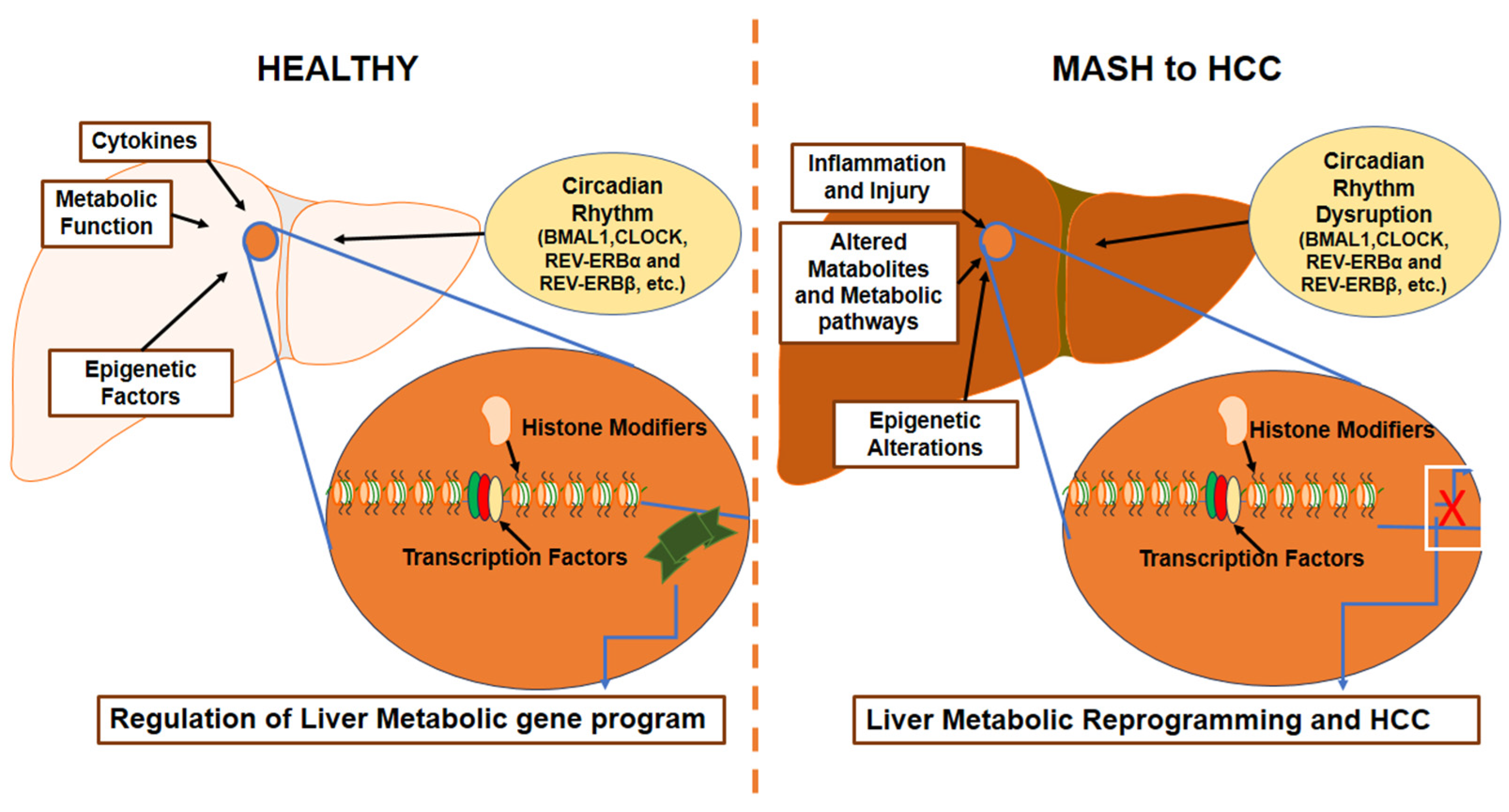 Biomedicines 12 01961 g002