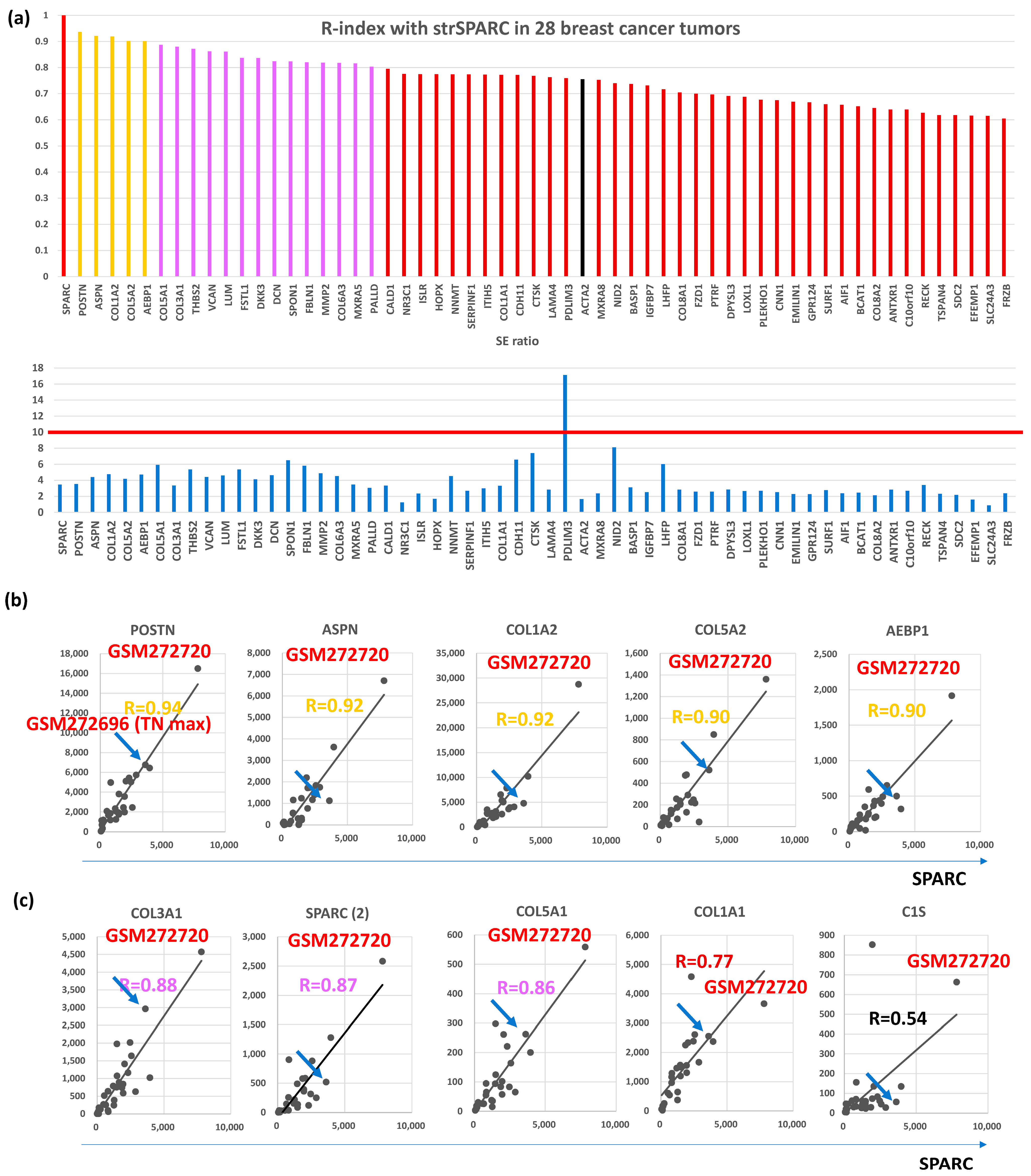 Biomedicines 12 01964 g001