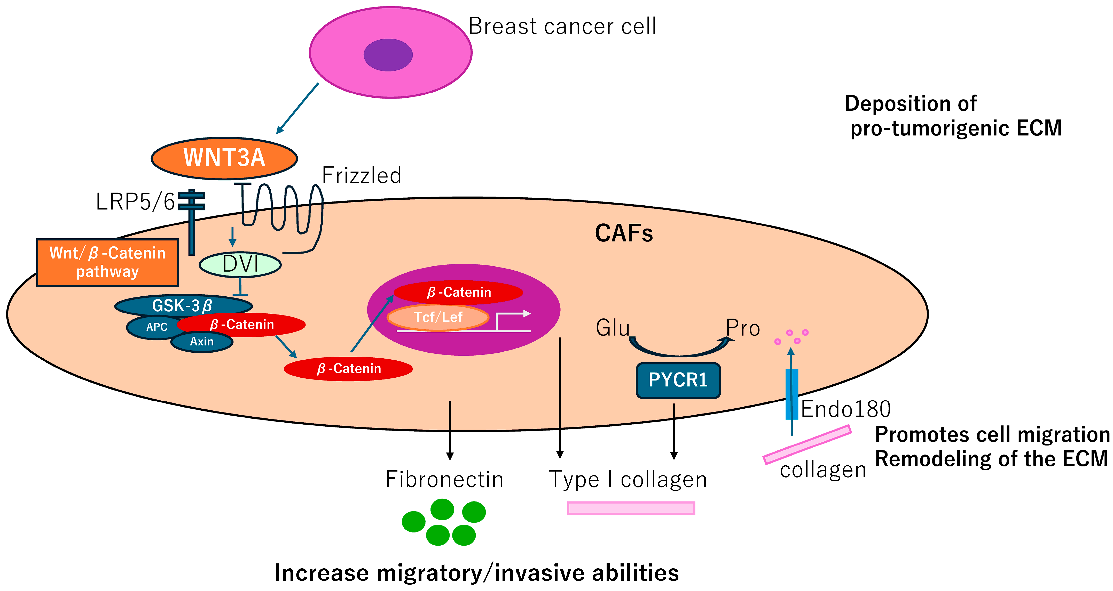 Biomedicines 12 01964 g004