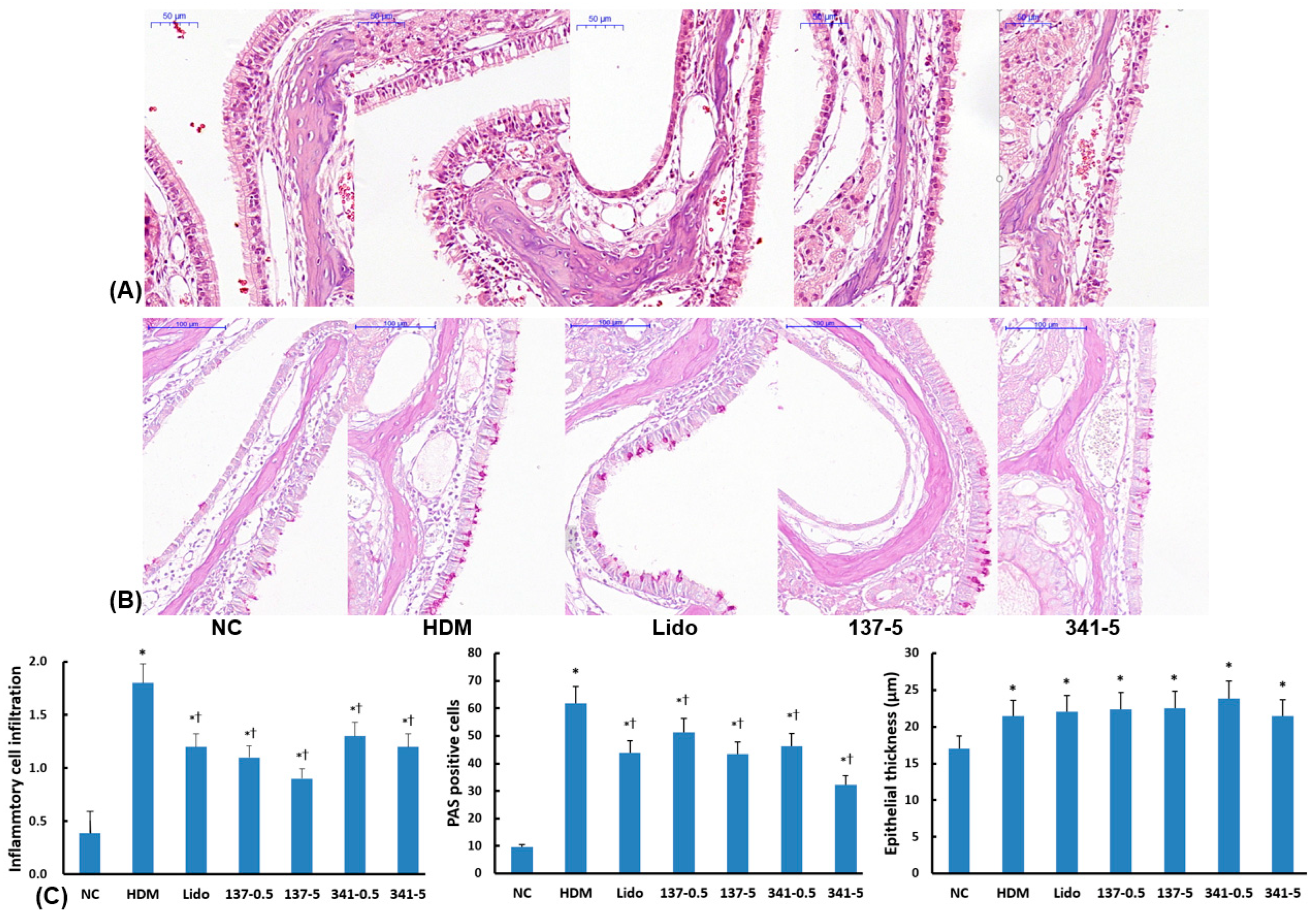 Biomedicines 12 01965 g007