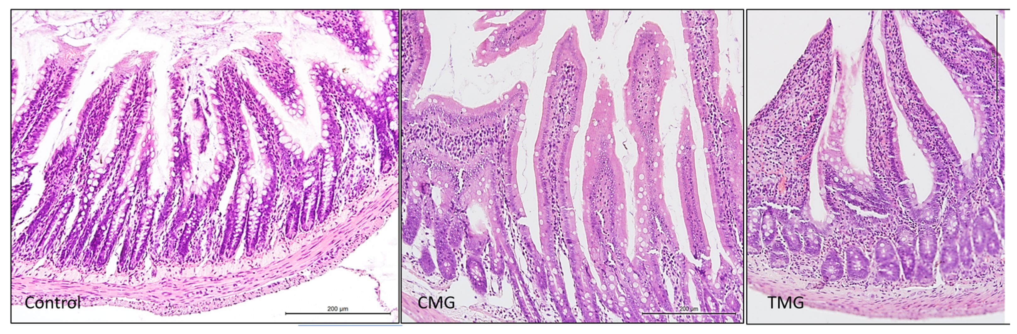 Biomedicines 12 01966 g003
