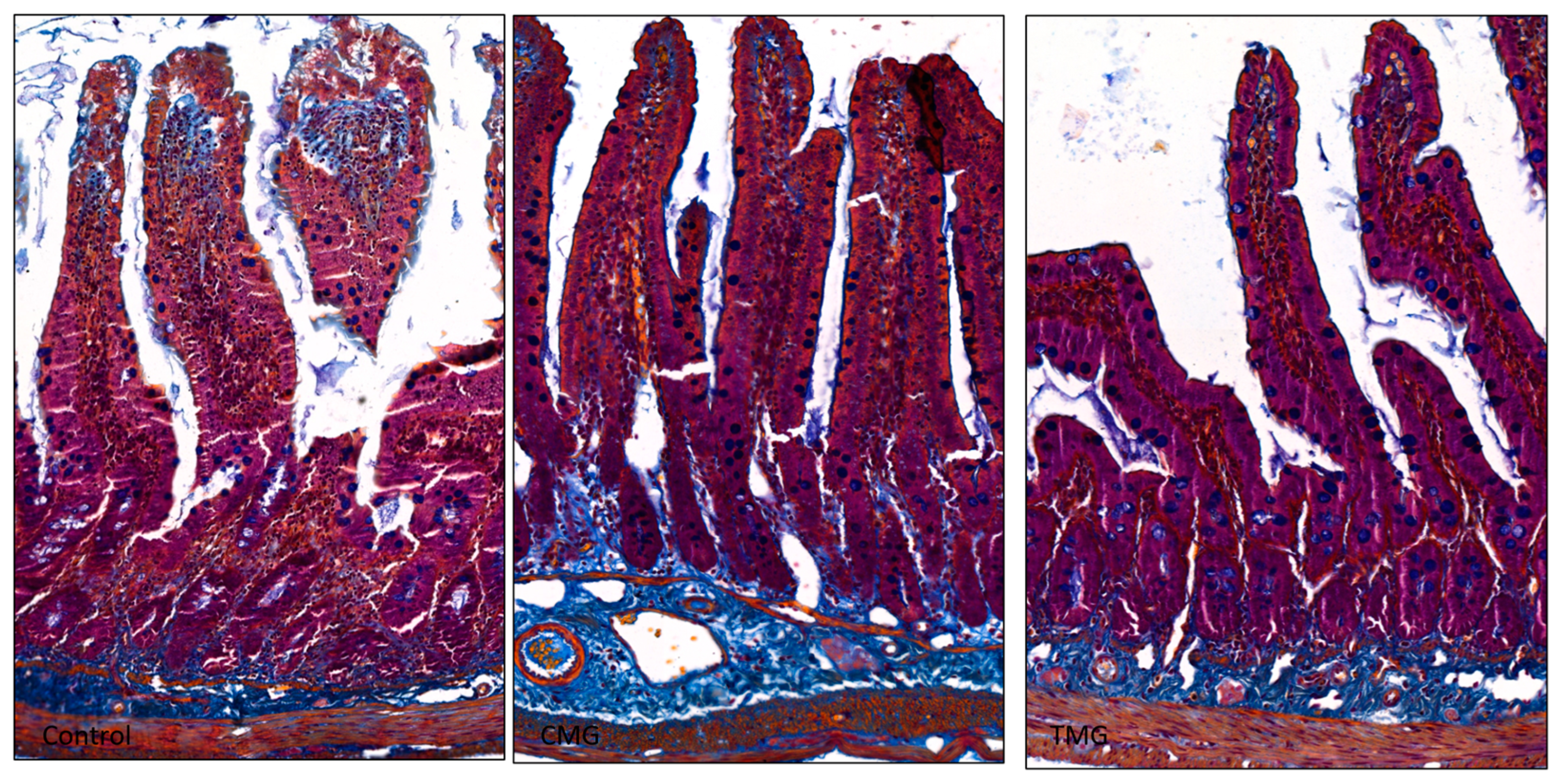 Biomedicines 12 01966 g004