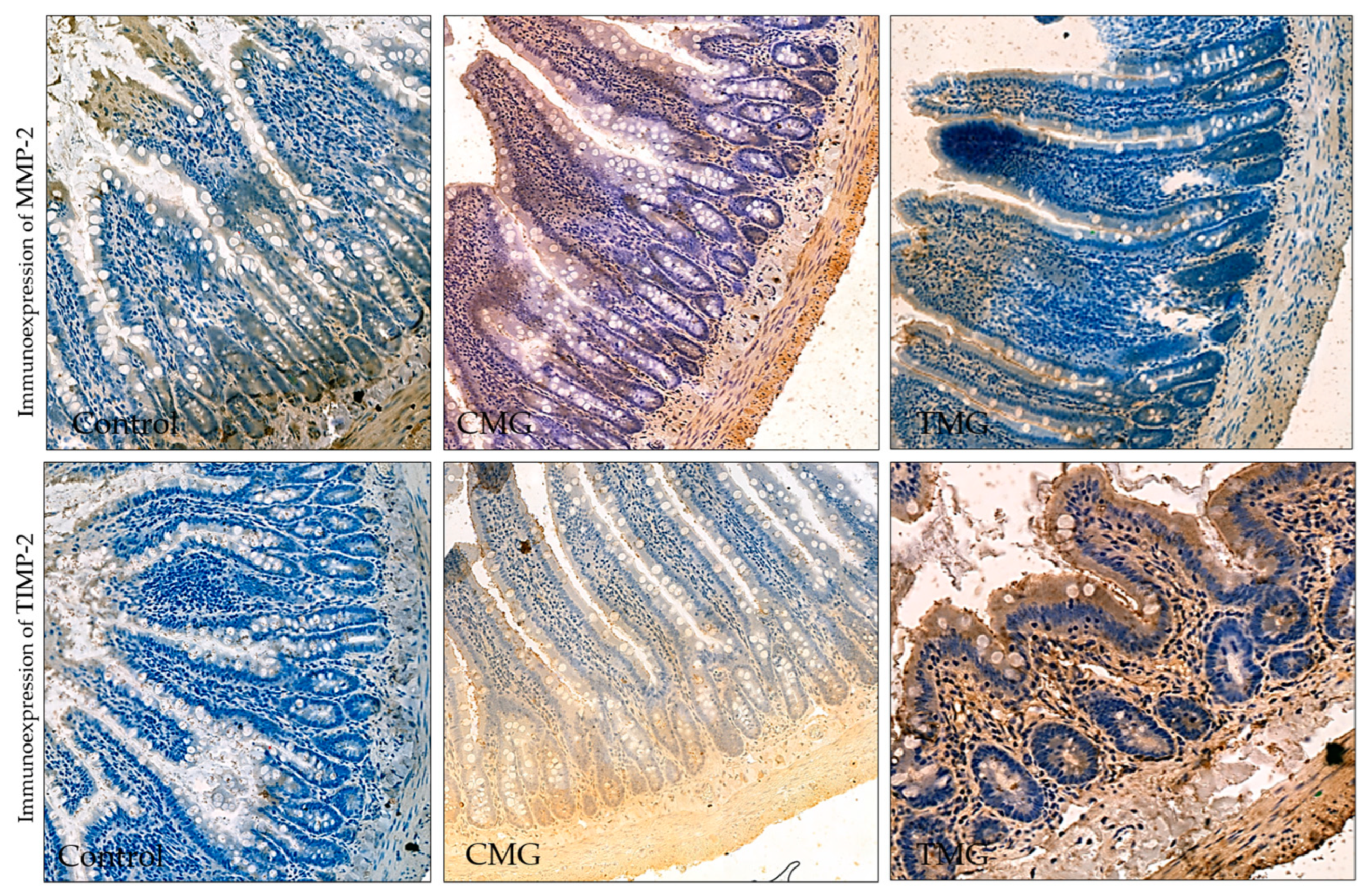 Biomedicines 12 01966 g007