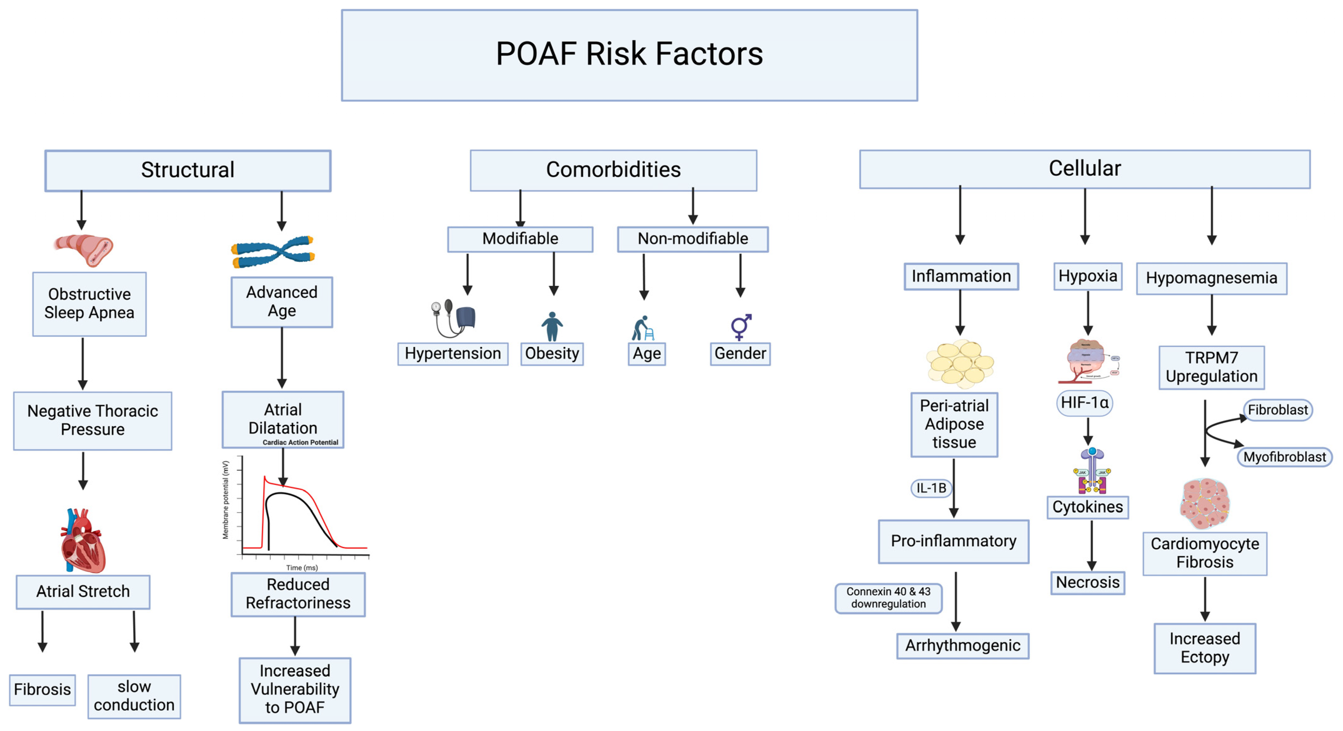 Biomedicines 12 01968 g001