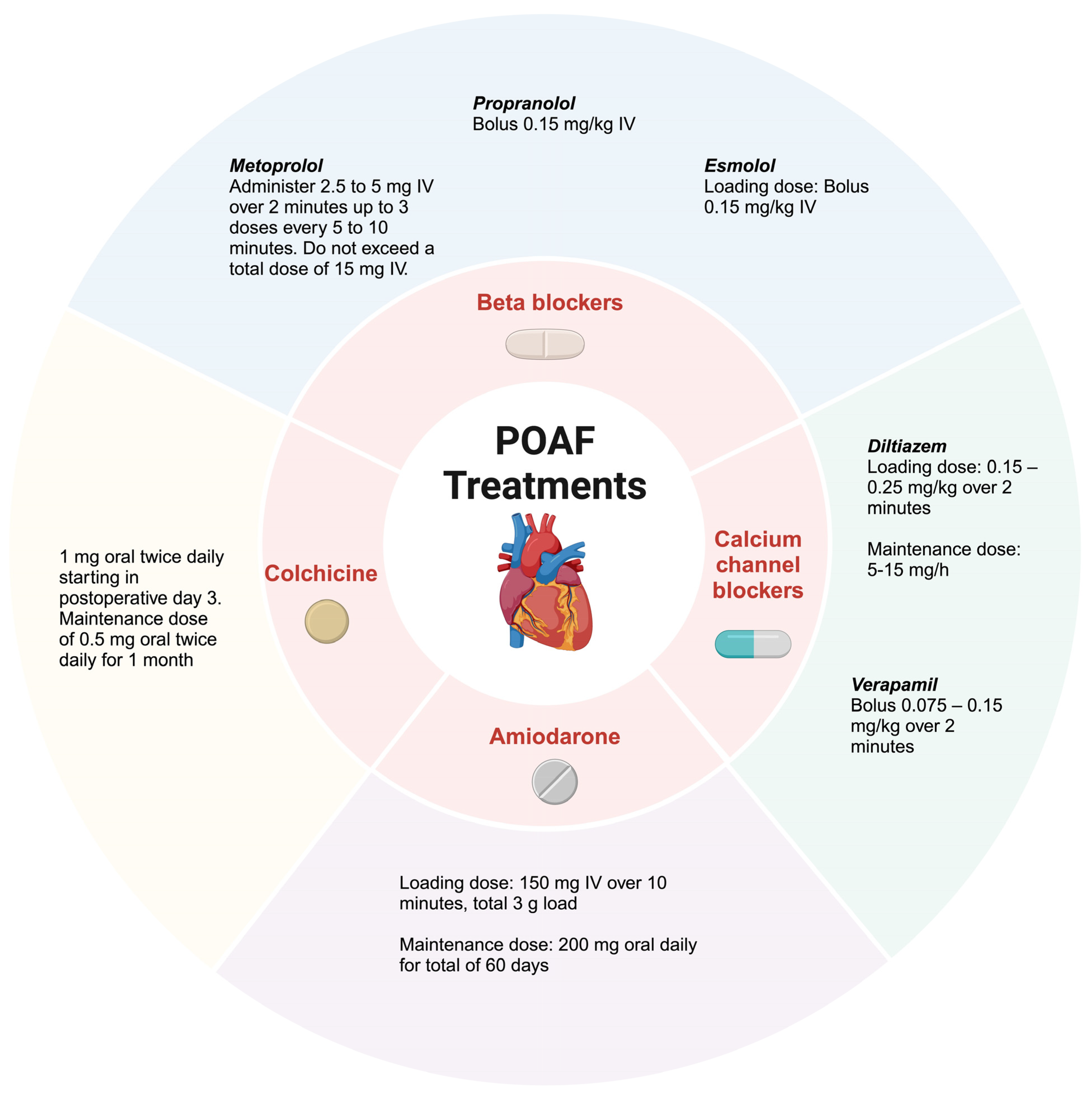 Biomedicines 12 01968 g003