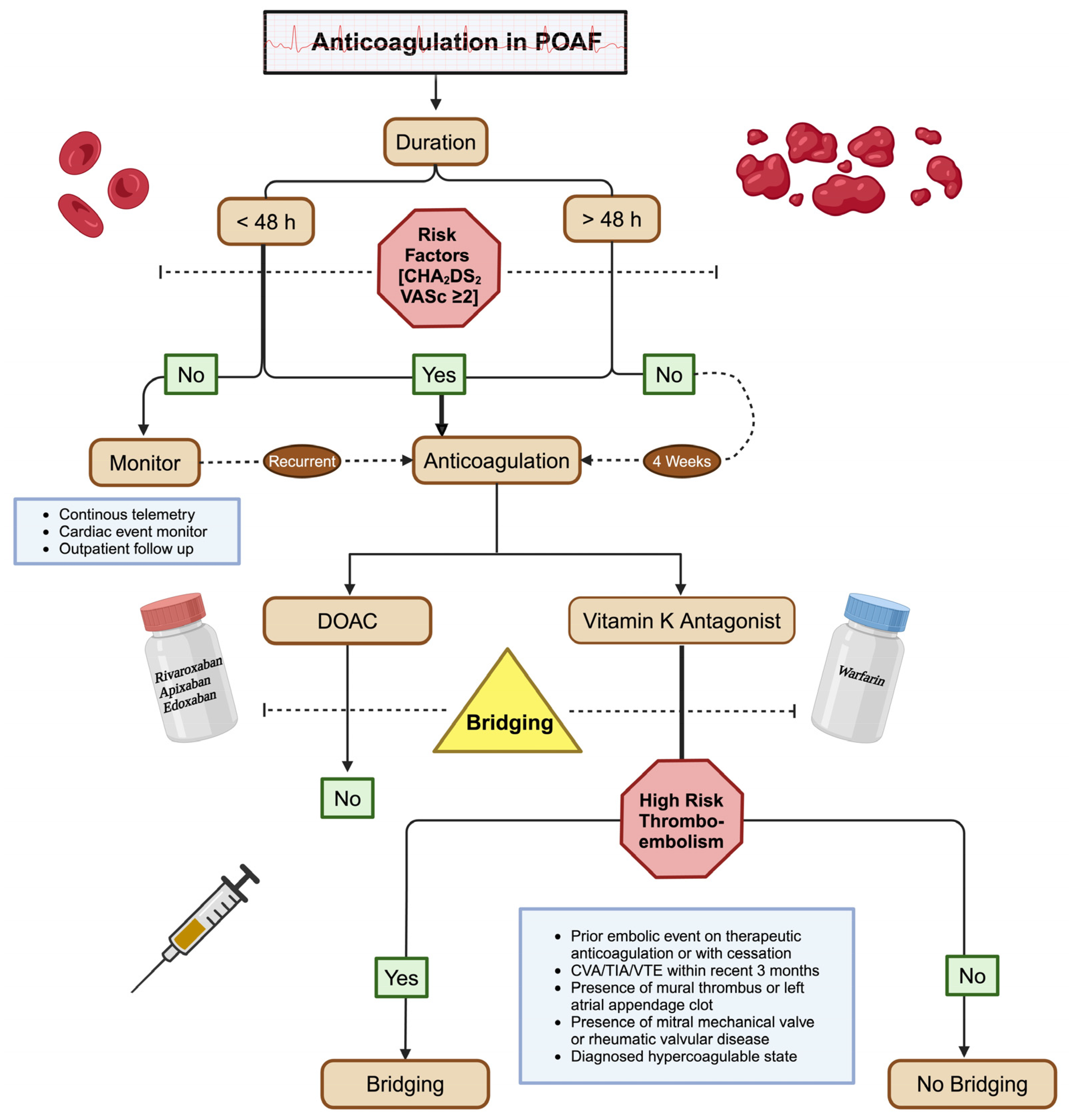 Biomedicines 12 01968 g005