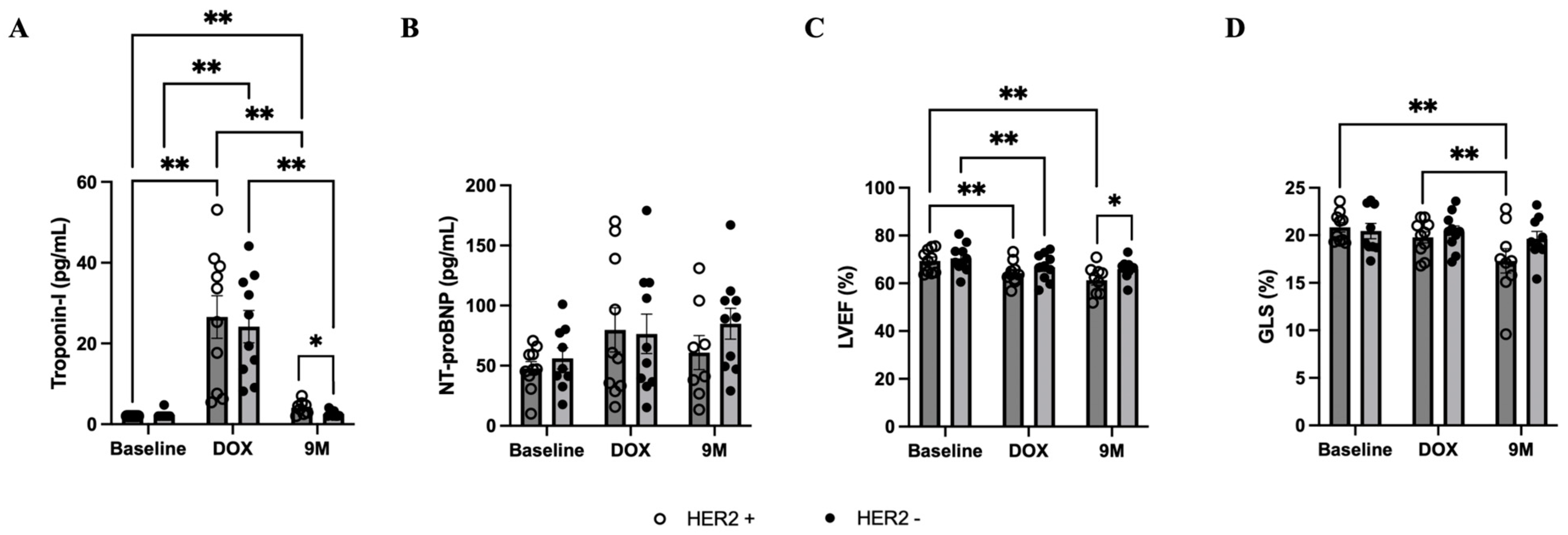 Biomedicines 12 01970 g004