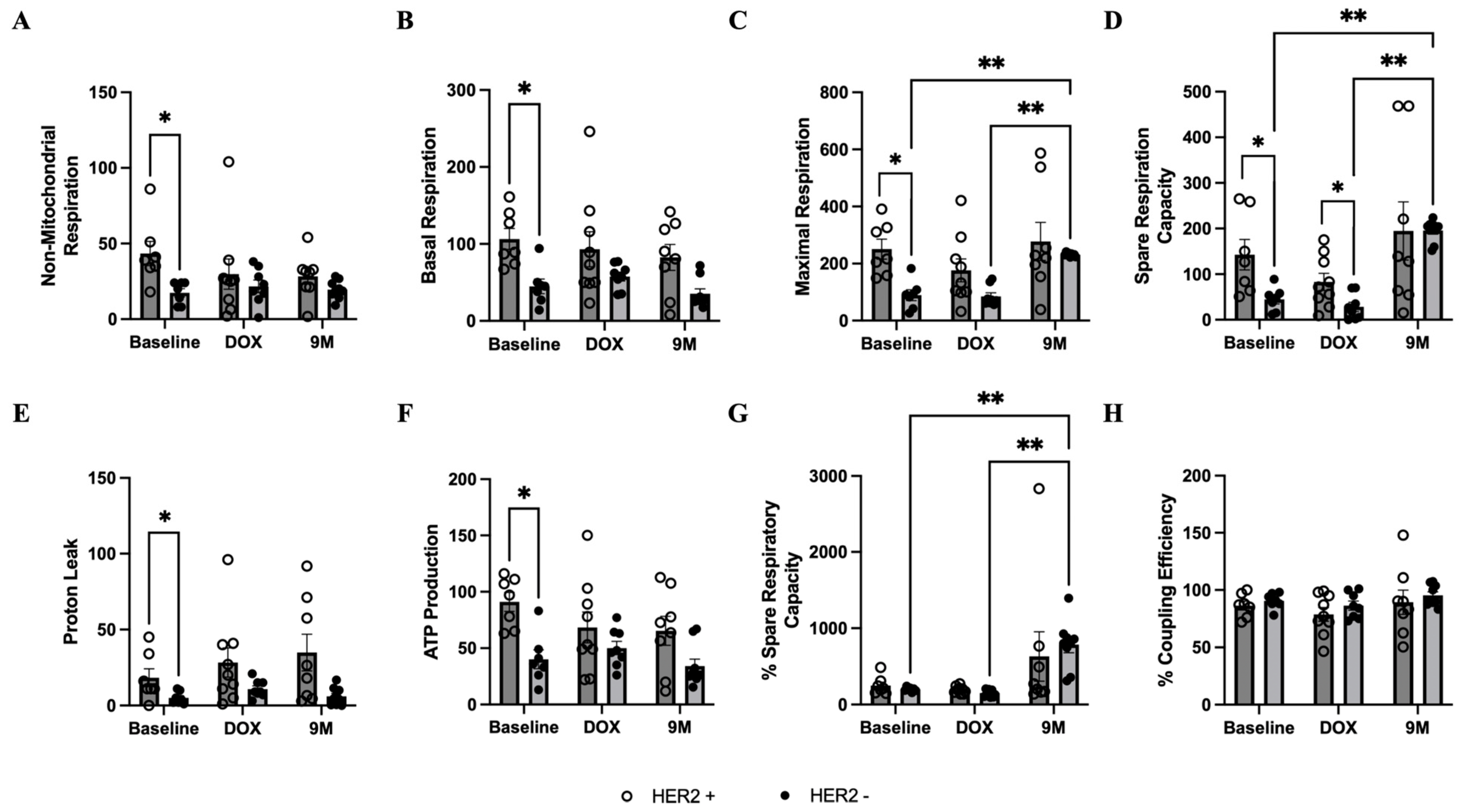 Biomedicines 12 01970 g005