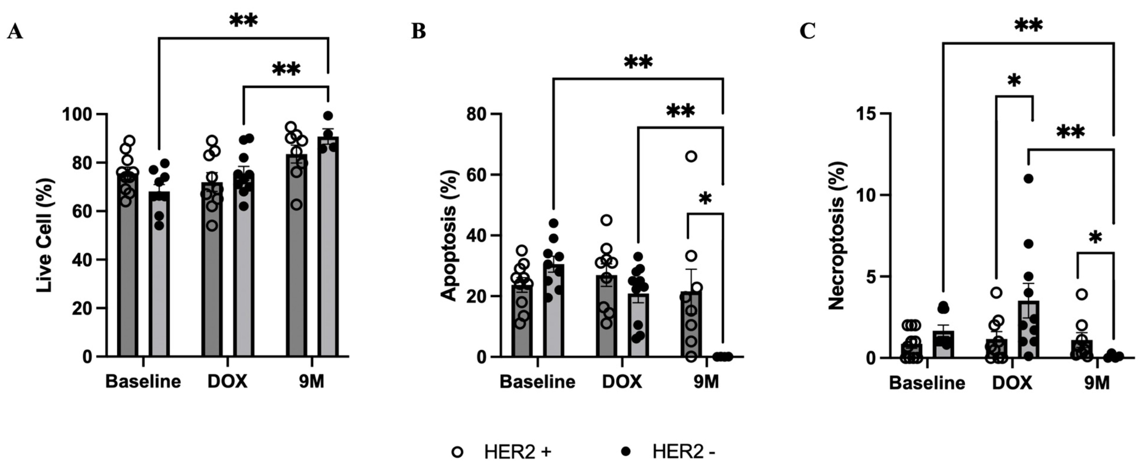 Biomedicines 12 01970 g006