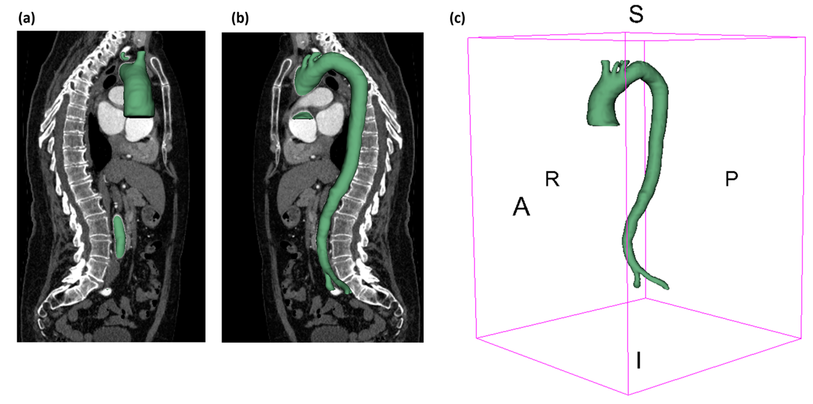 Biomedicines 12 01973 g002a
