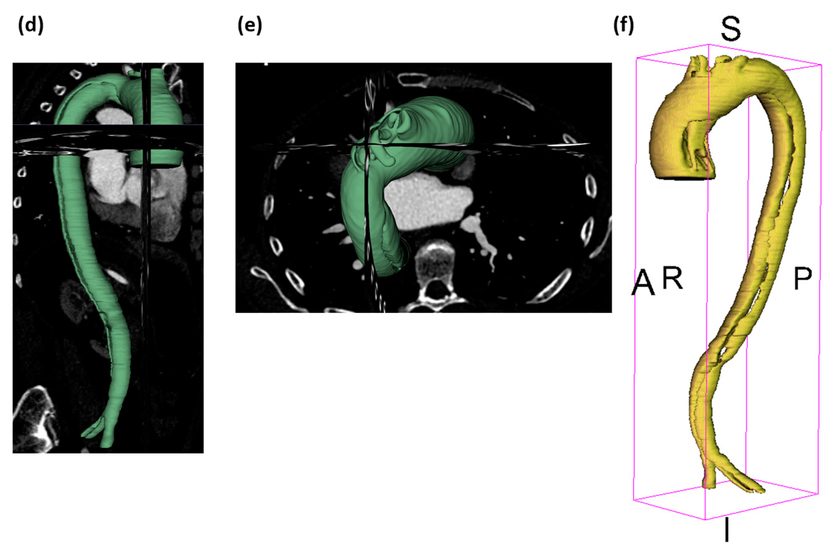 Biomedicines 12 01973 g002b