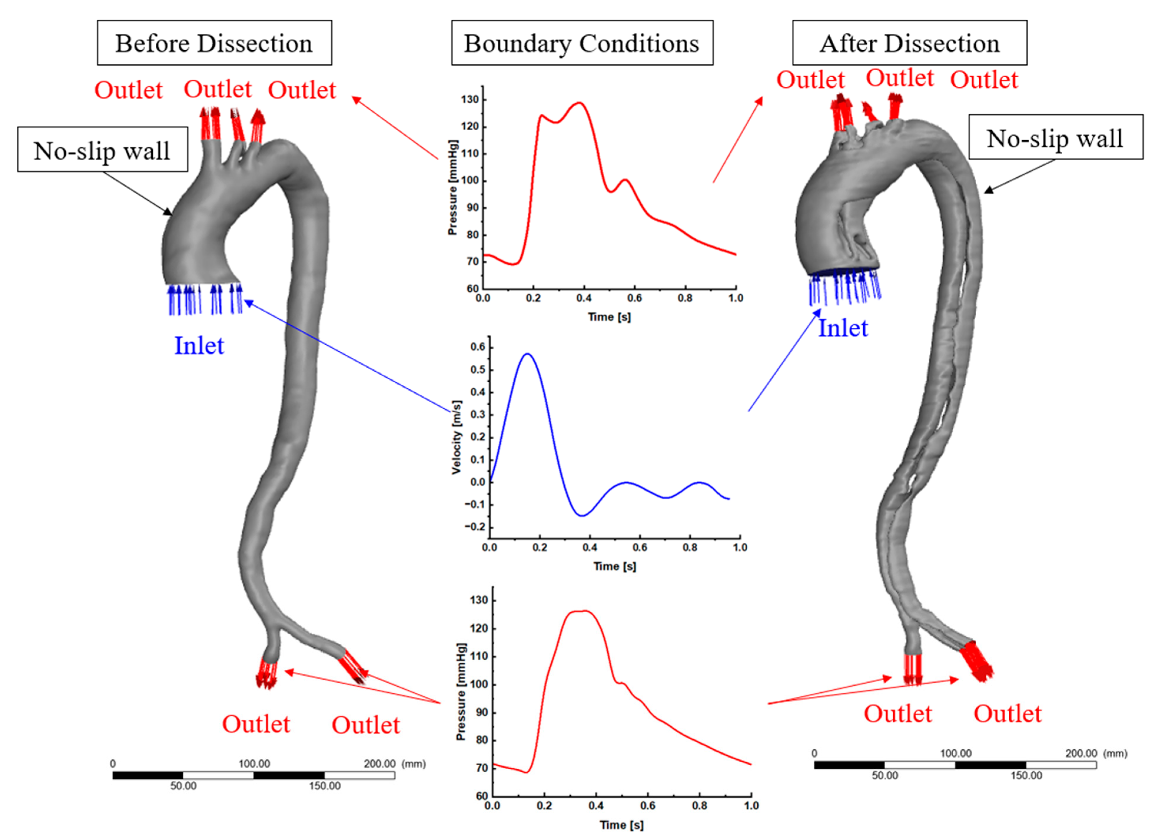 Biomedicines 12 01973 g003