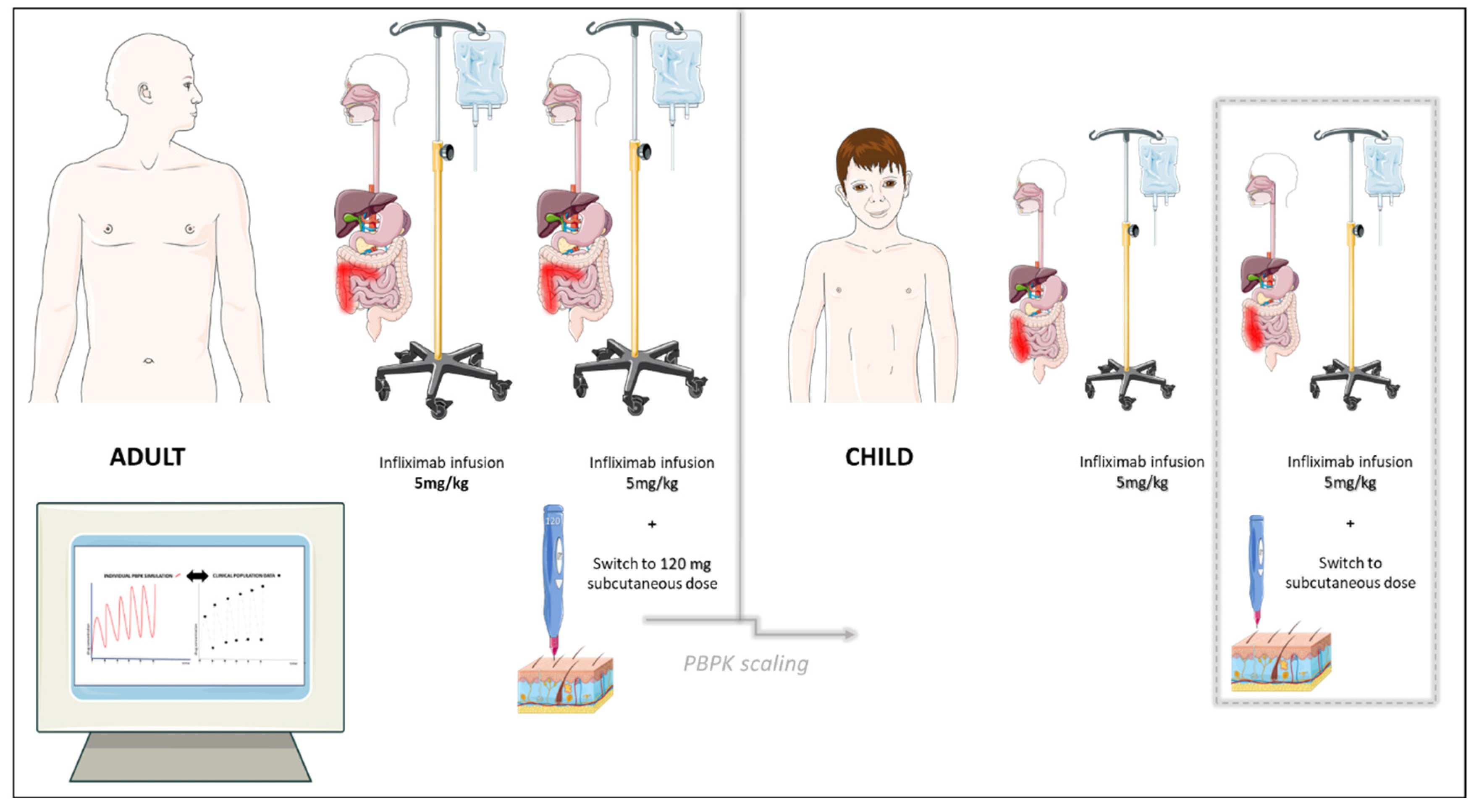 Biomedicines 12 01974 g003