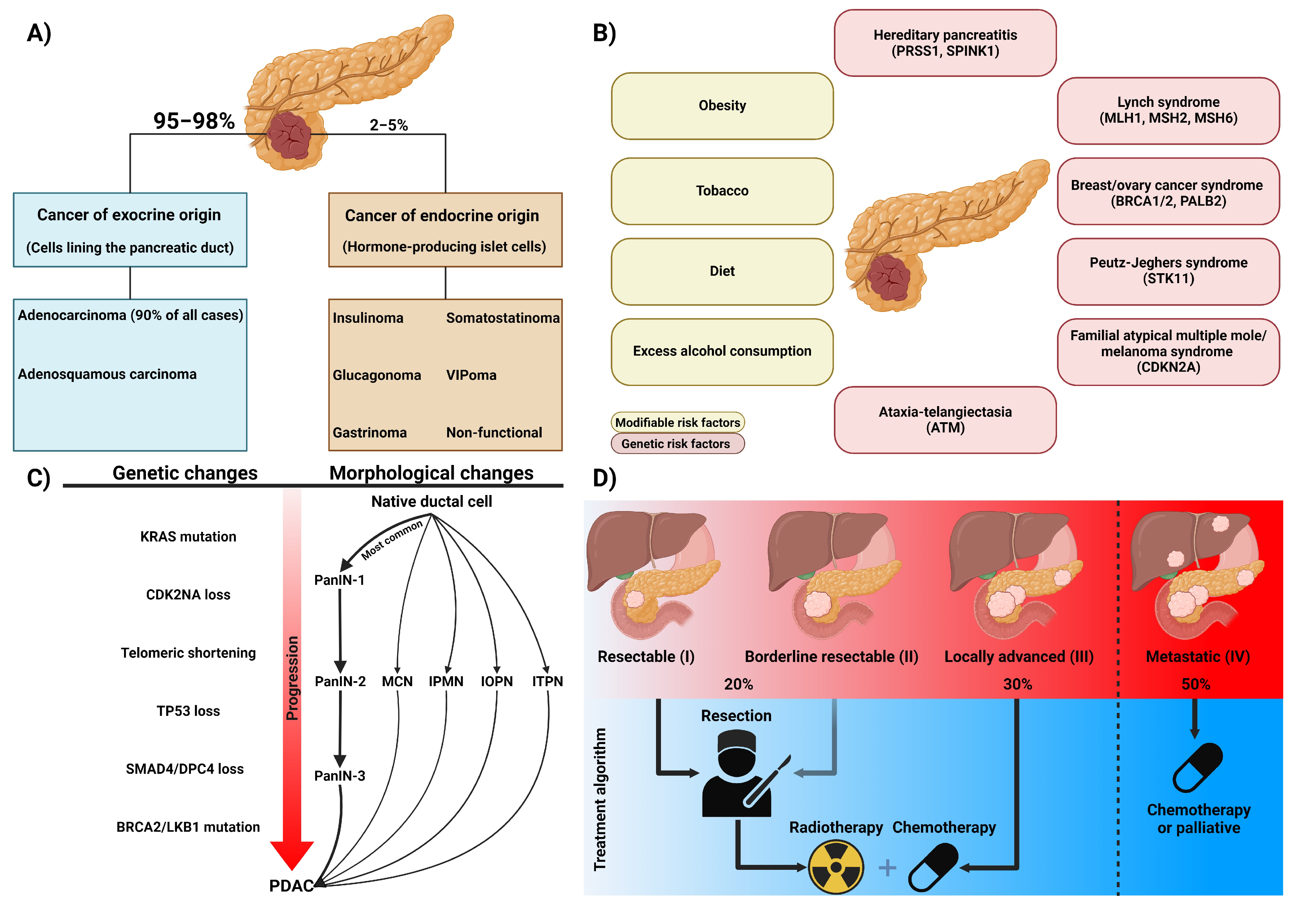 Biomedicines 12 01979 g001