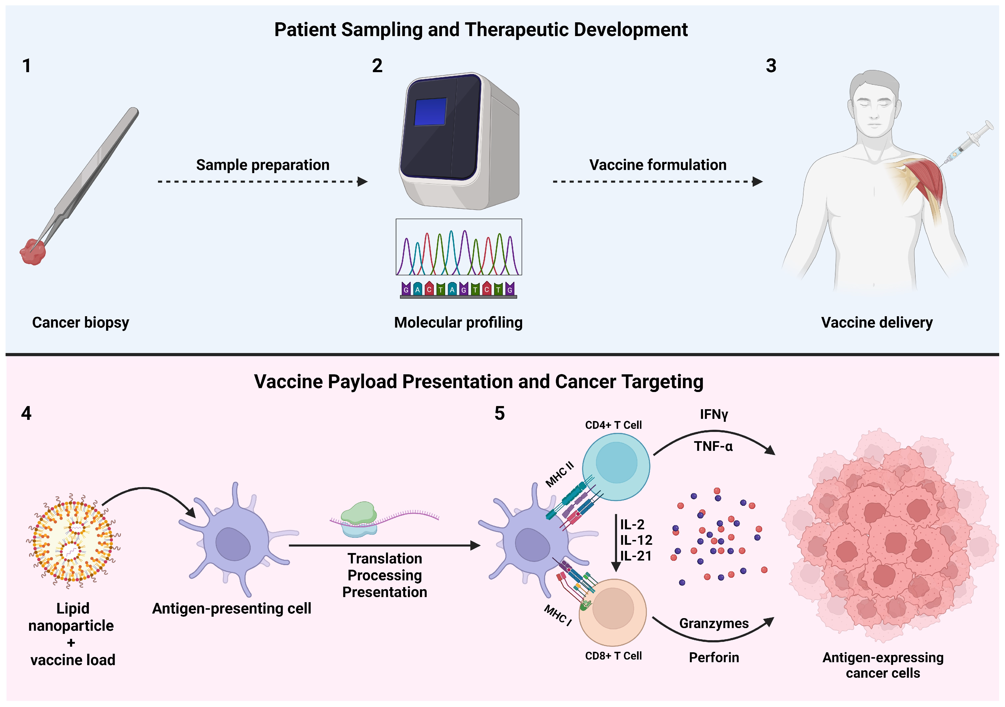 Biomedicines 12 01979 g002