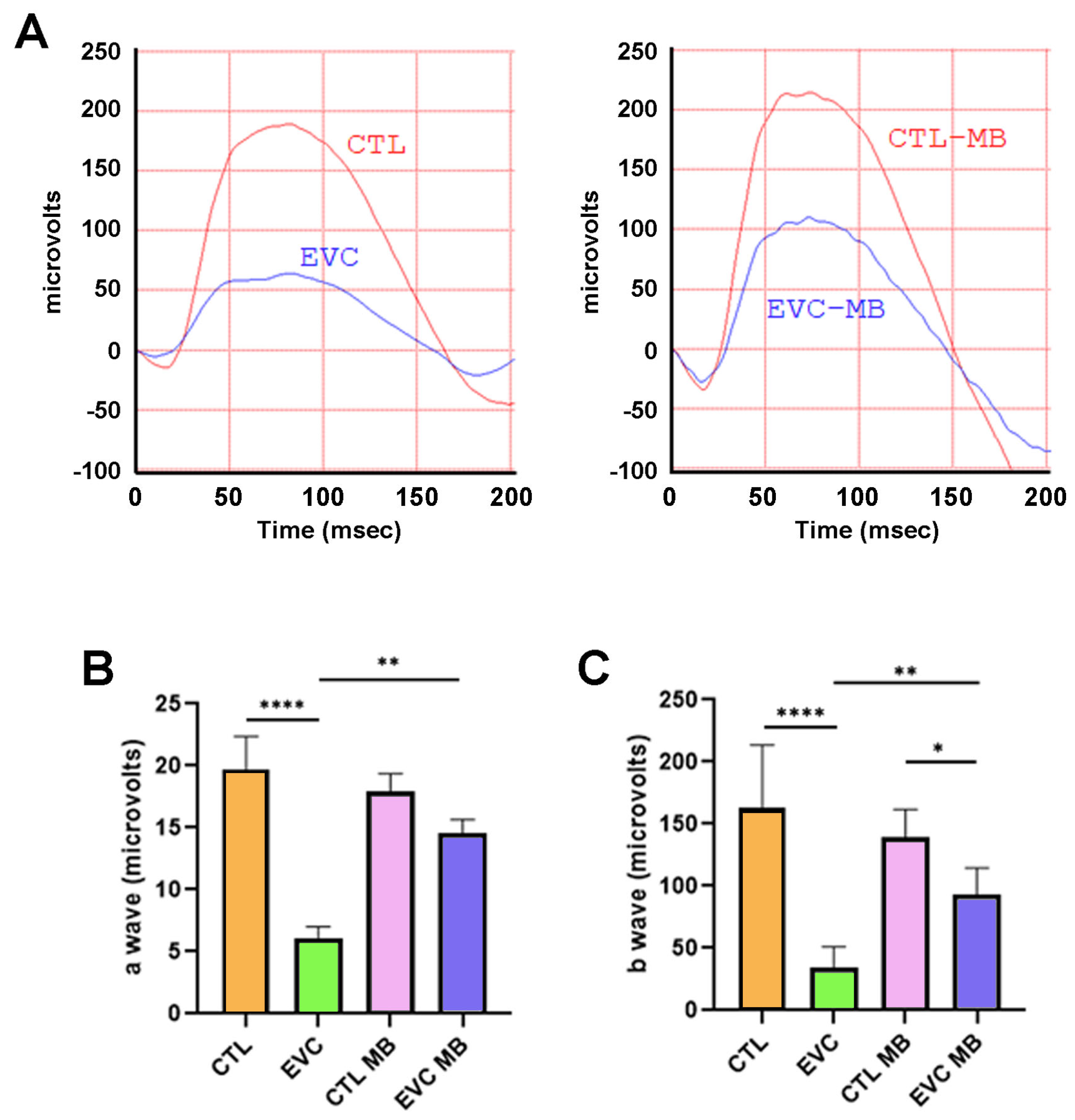 Biomedicines 12 01983 g003 Biomedicines 12 01983 g003