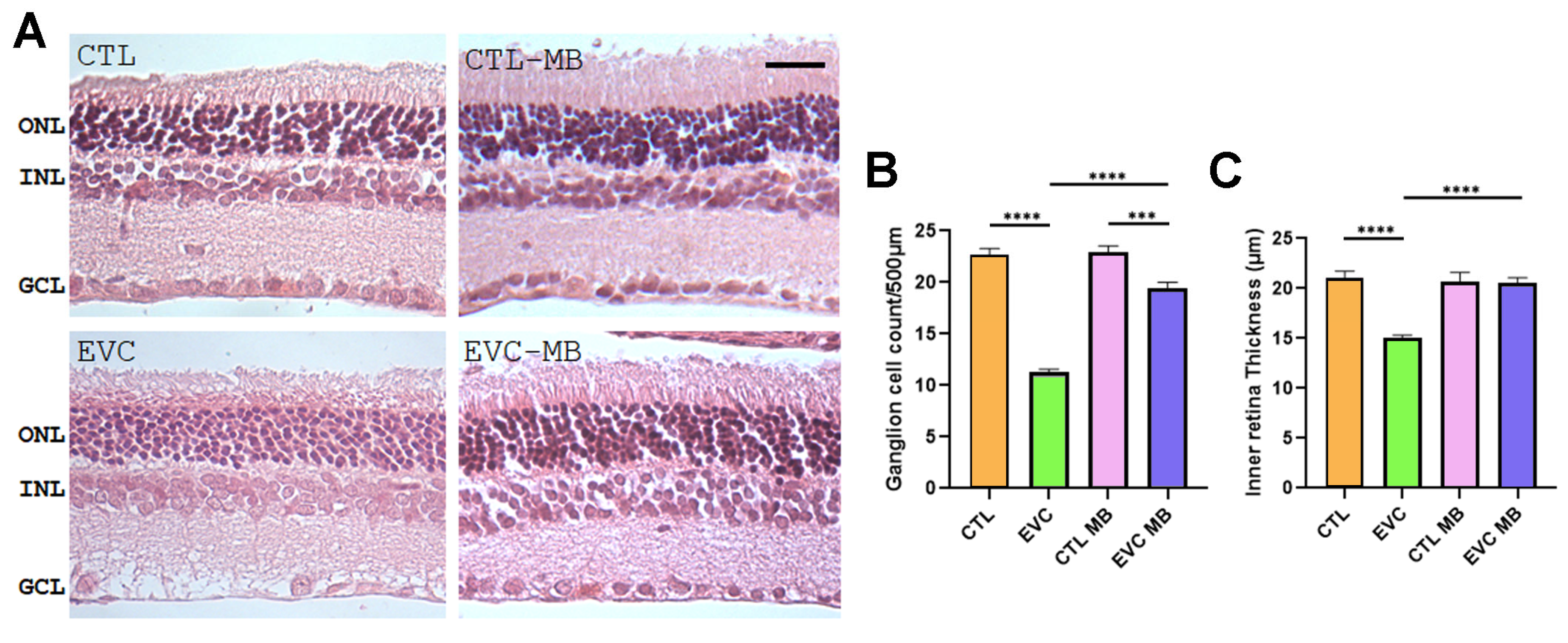 Biomedicines 12 01983 g006 Biomedicines 12 01983 g006