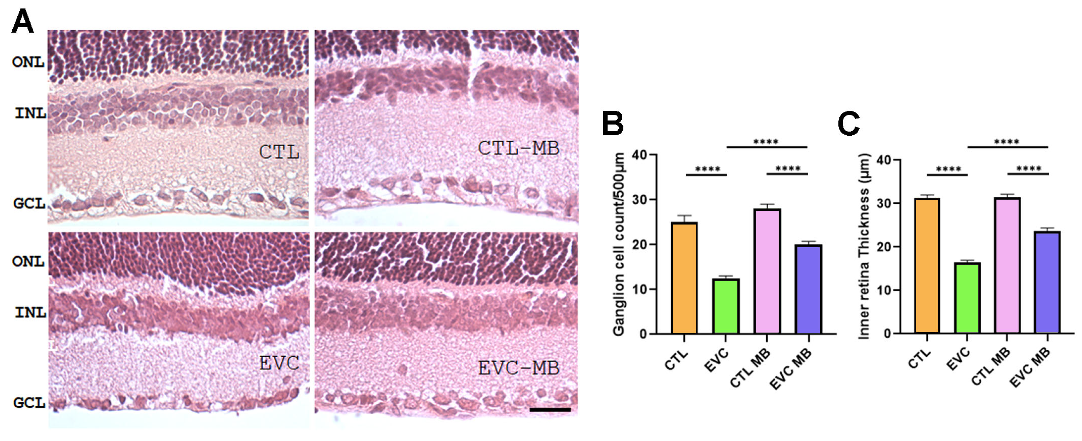 Biomedicines 12 01983 g007 Biomedicines 12 01983 g007