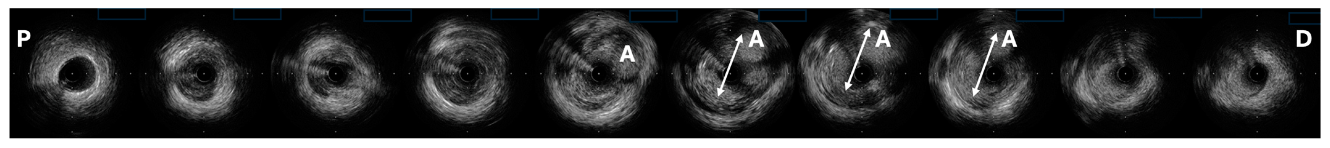 Biomedicines 12 01984 g004 Biomedicines 12 01984 g004