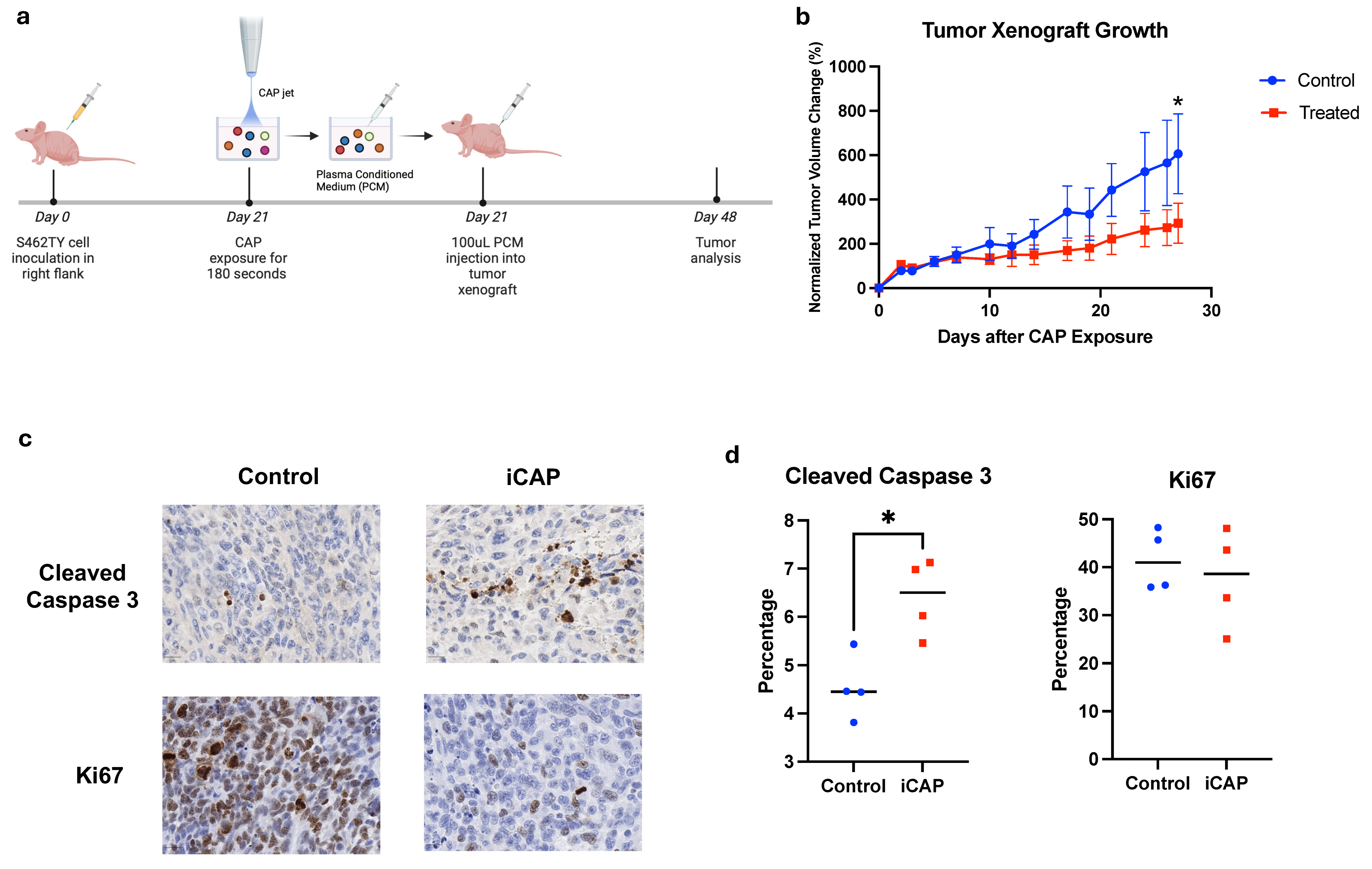 Biomedicines 12 01986 g005