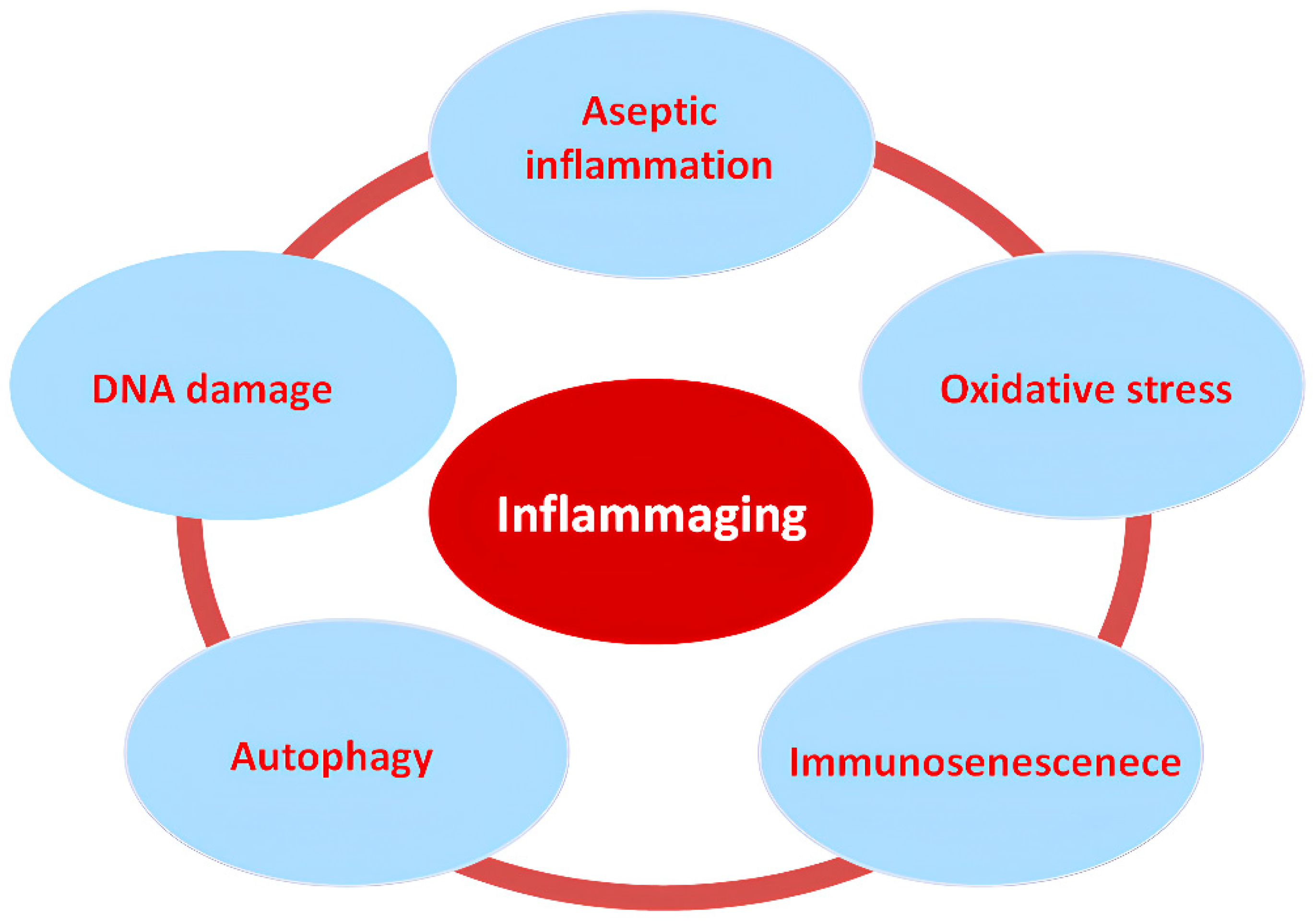 Biomedicines 12 01987 g001 Biomedicines 12 01987 g001