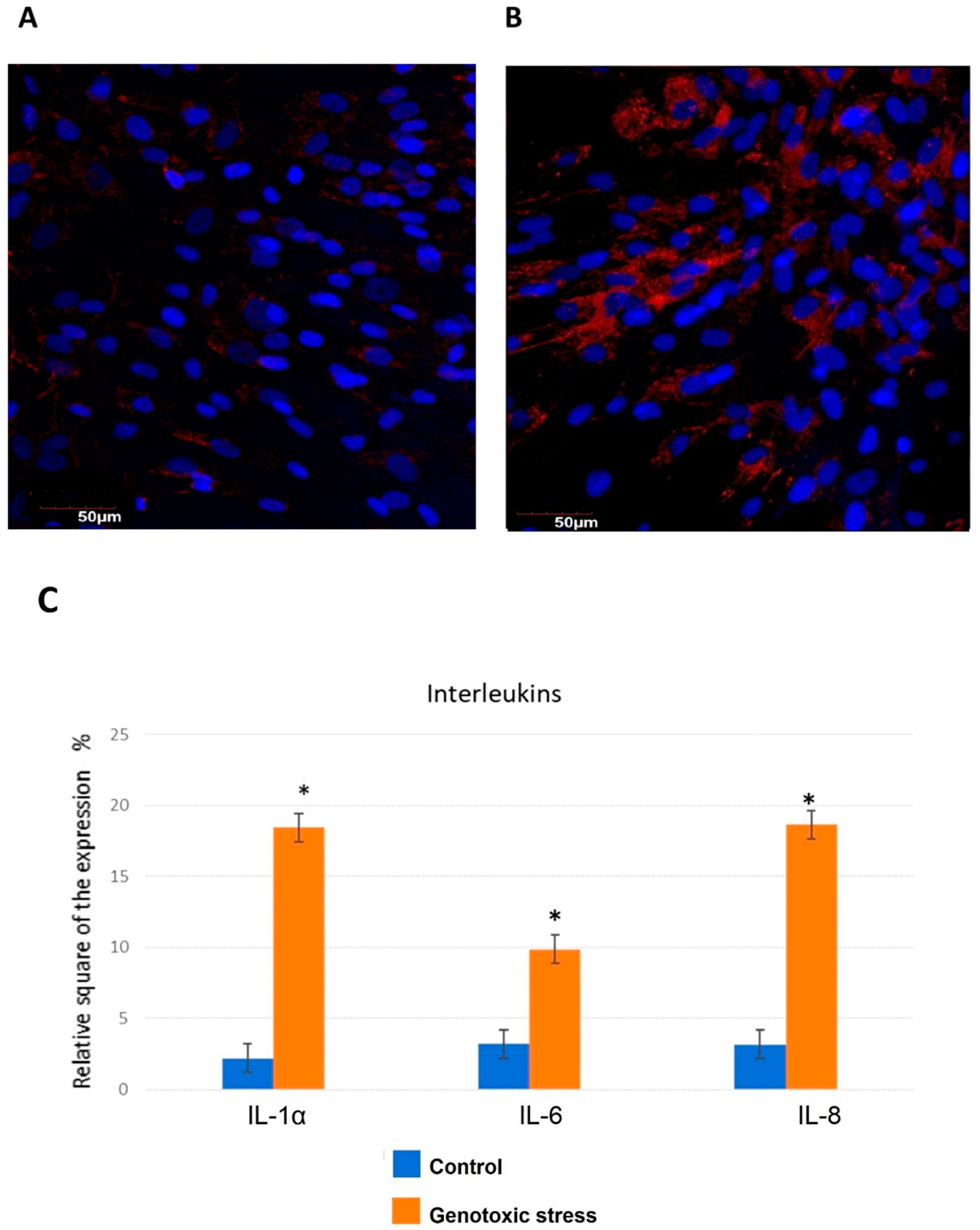 Biomedicines 12 01987 g002 Biomedicines 12 01987 g002