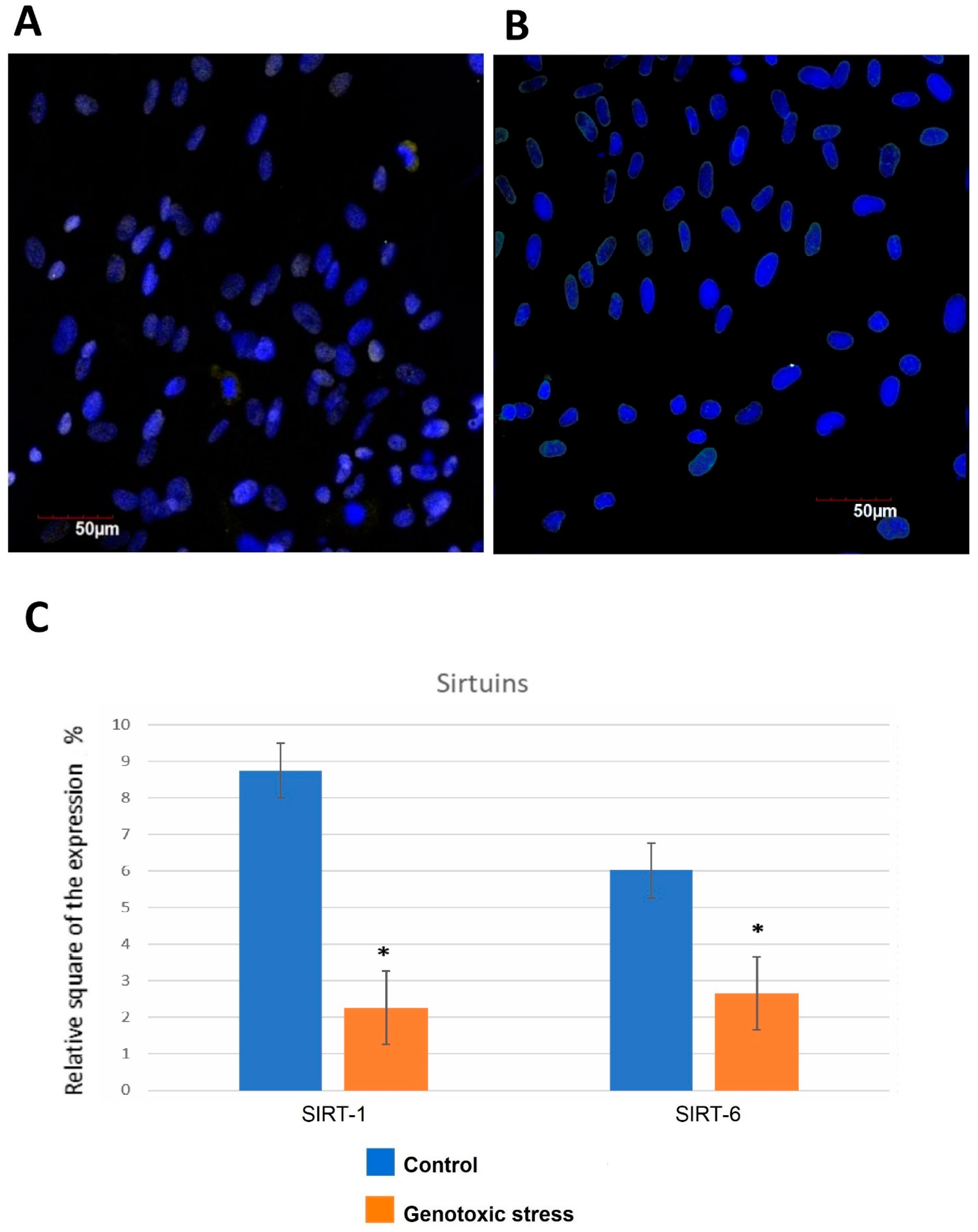 Biomedicines 12 01987 g003 Biomedicines 12 01987 g003