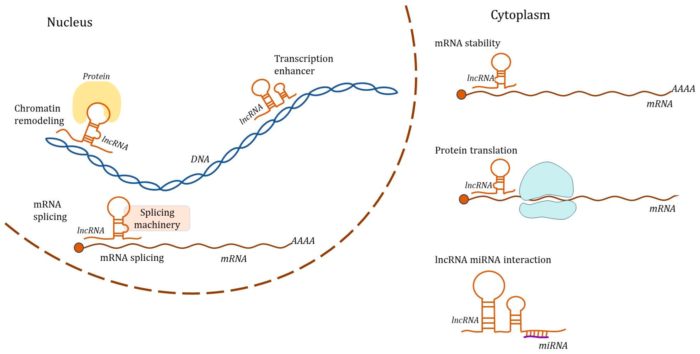 Biomedicines 12 02001 g001