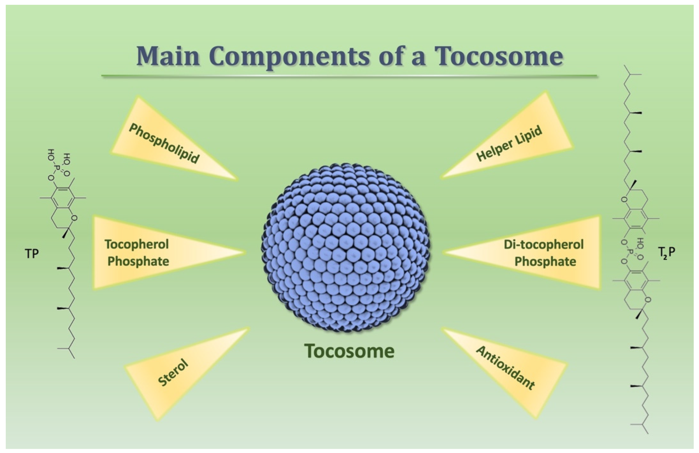 Biomedicines 12 02002 g002
