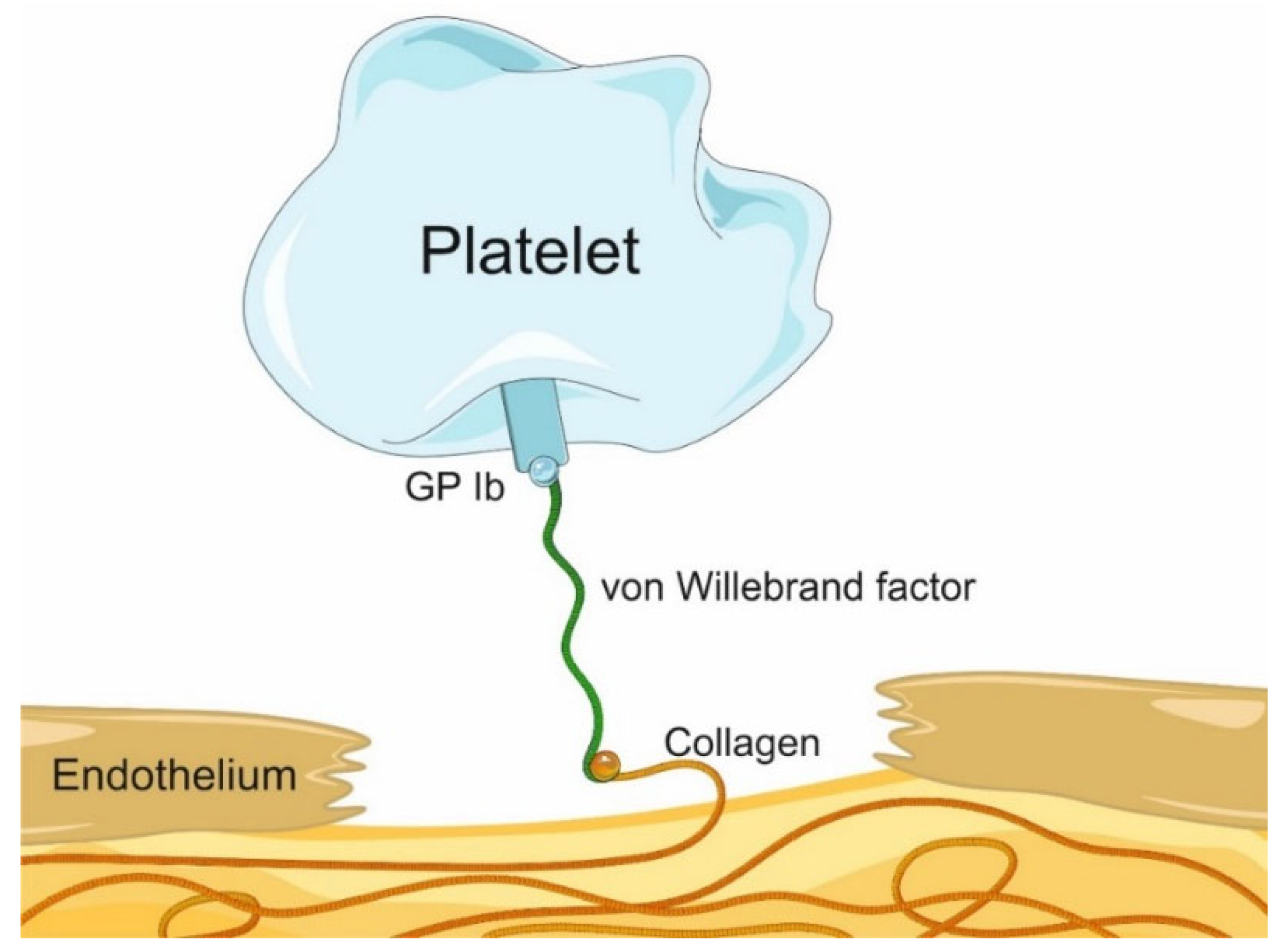 Biomedicines 12 02007 g002