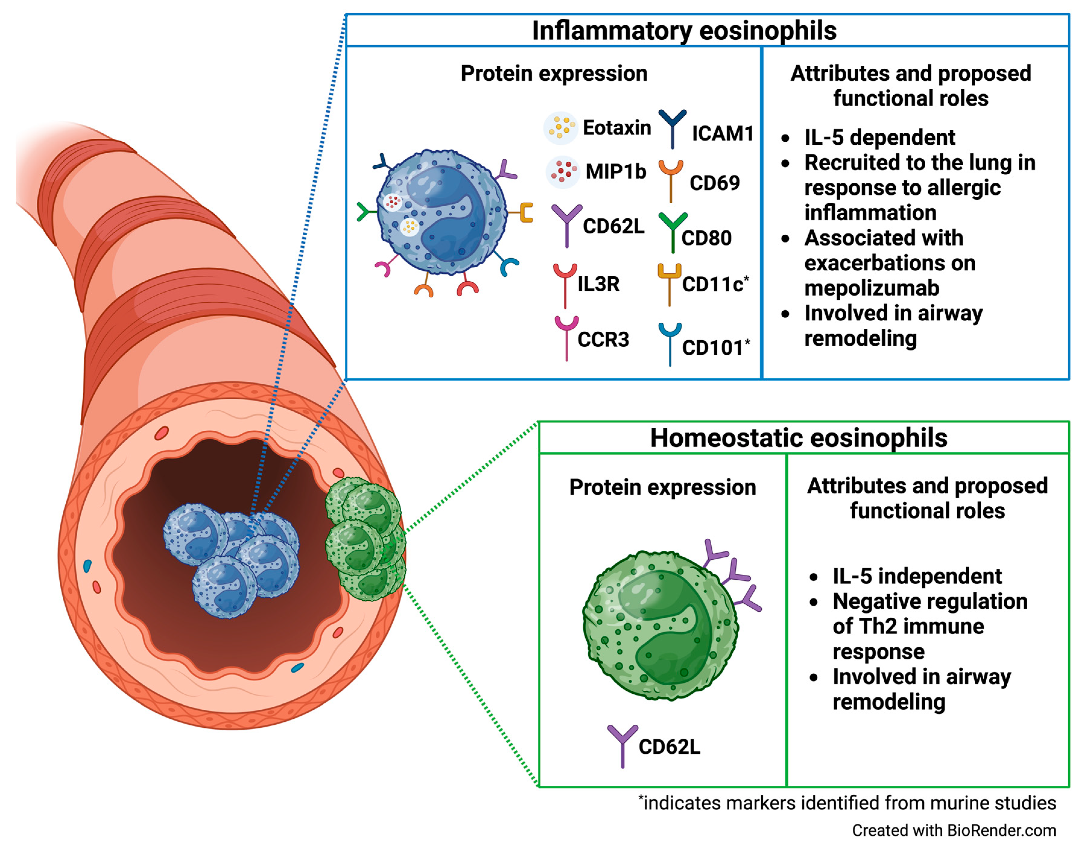 Biomedicines 12 02011 g002
