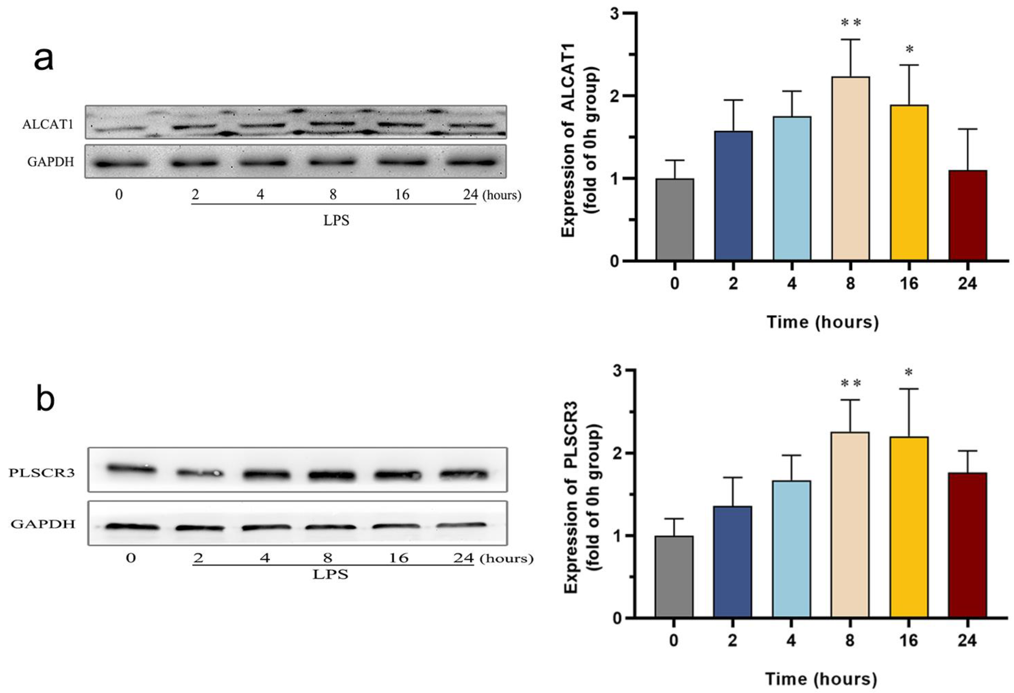 Biomedicines 12 02013 g004