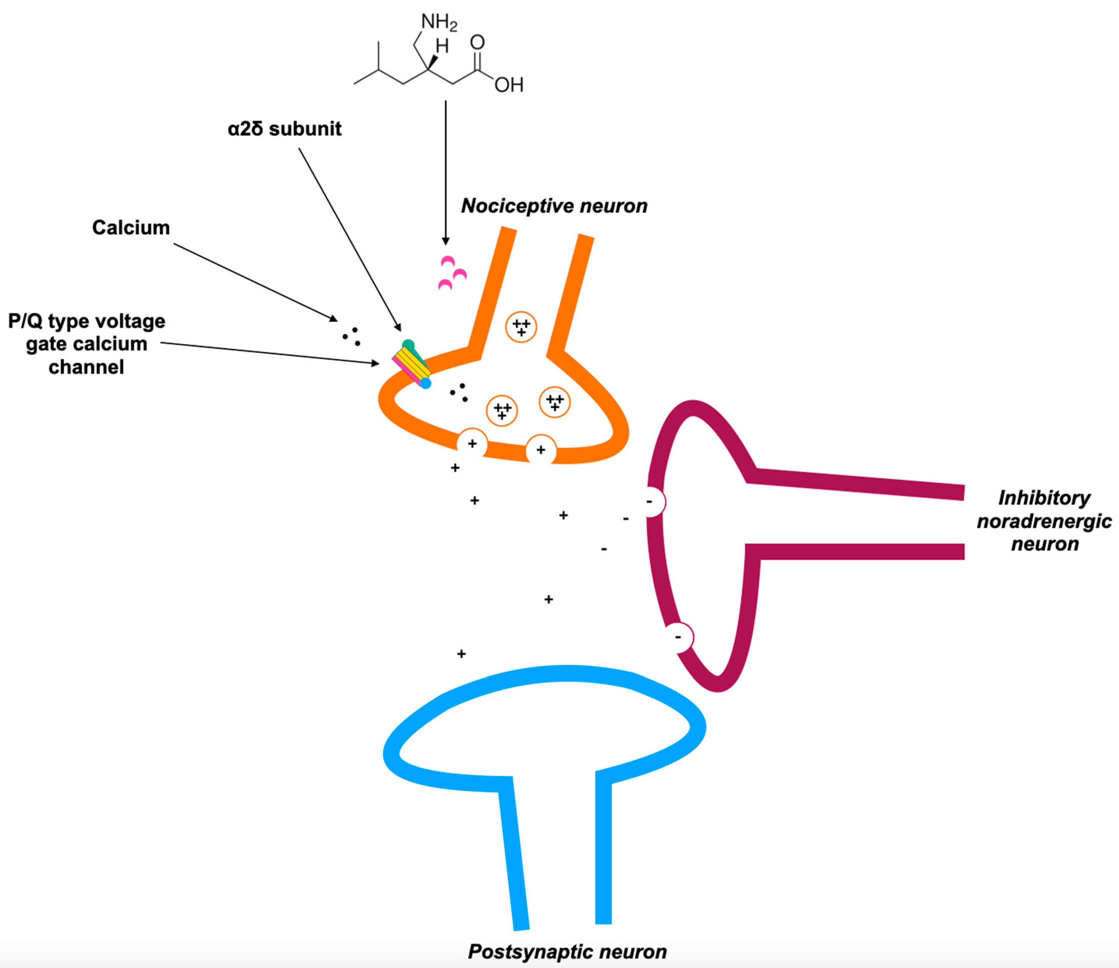 Biomedicines 12 02021 g002