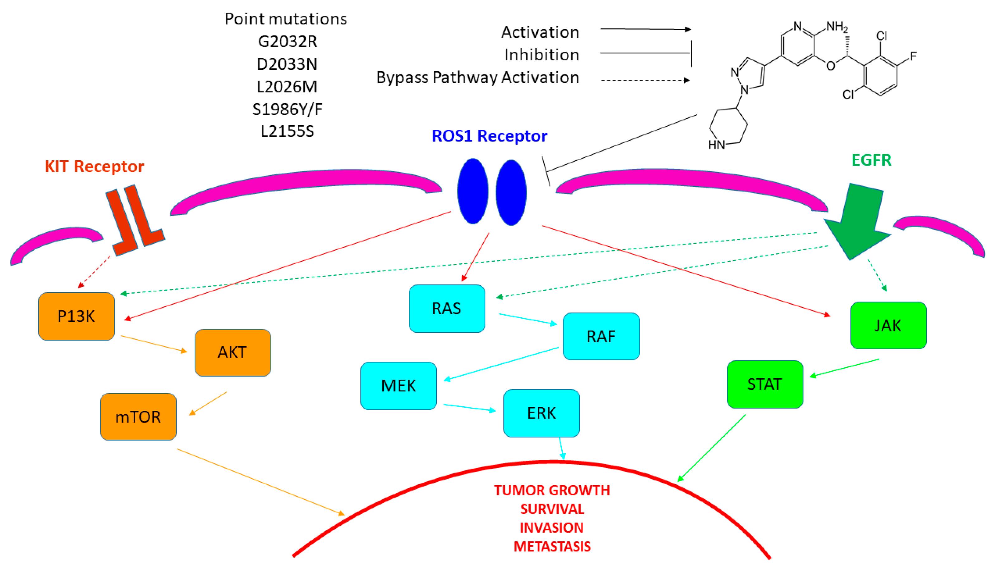 Biomedicines 12 02021 g003