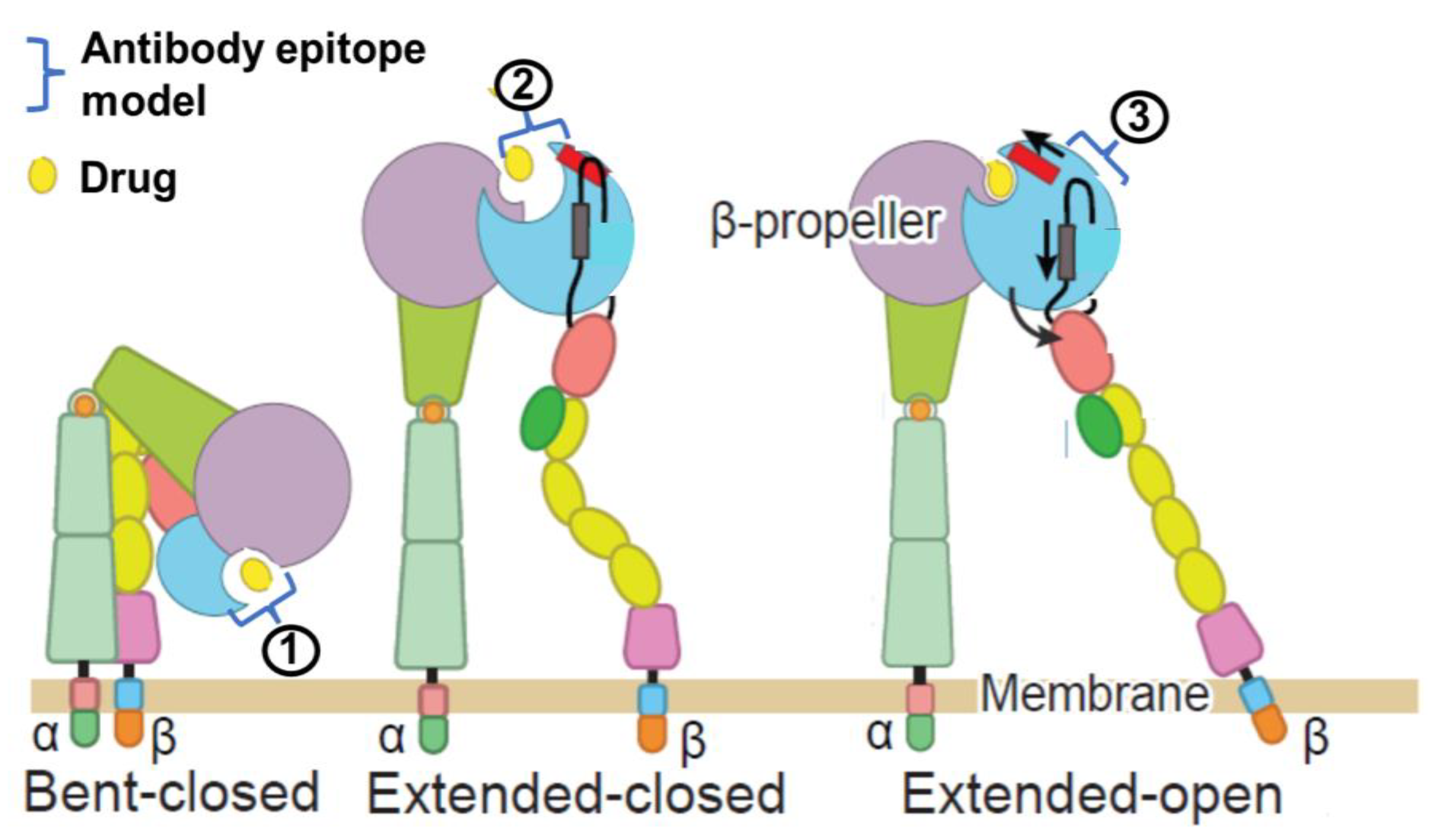 Biomedicines 12 02023 g003 Biomedicines 12 02023 g003