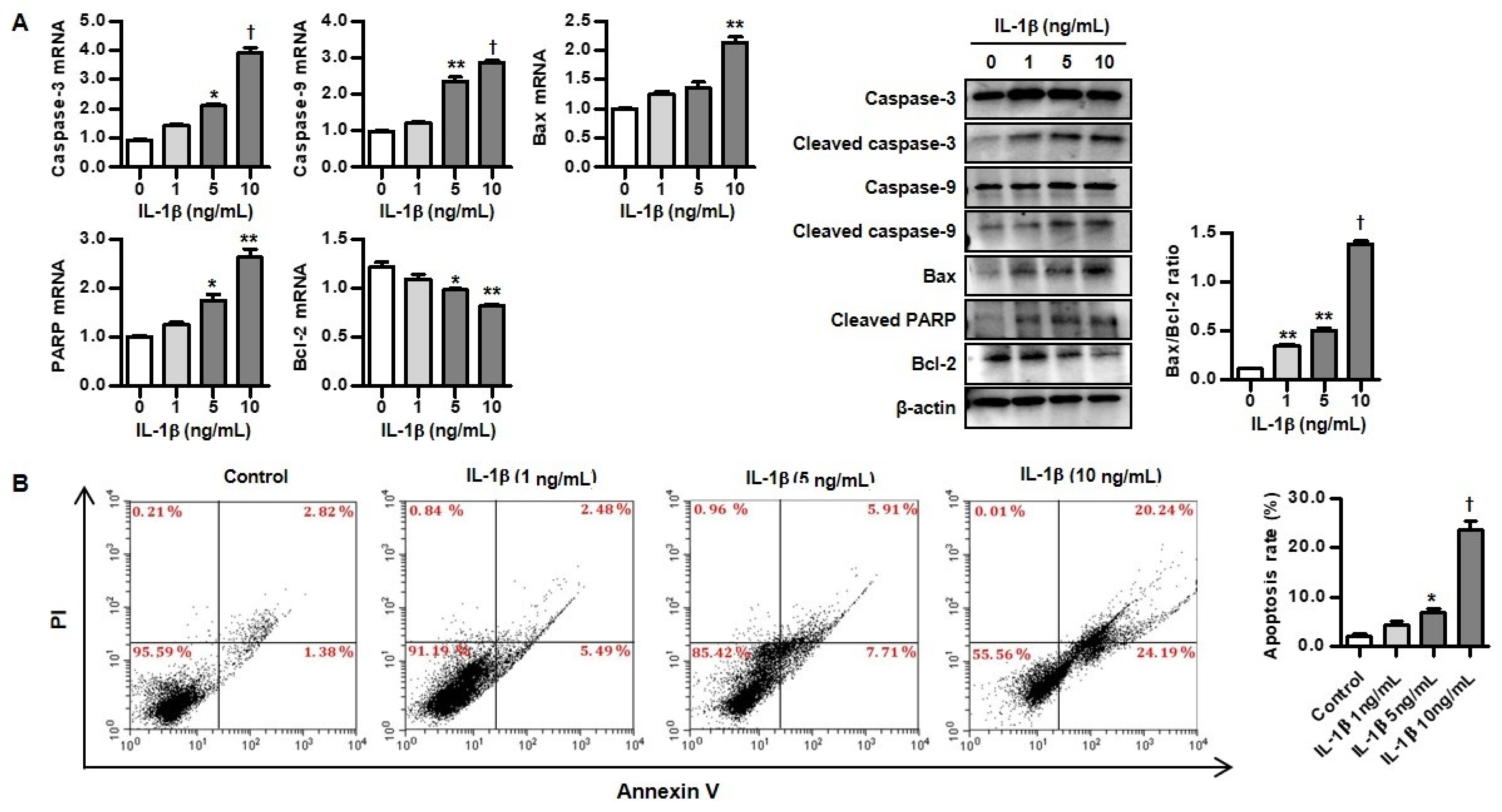 Biomedicines 12 02025 g004