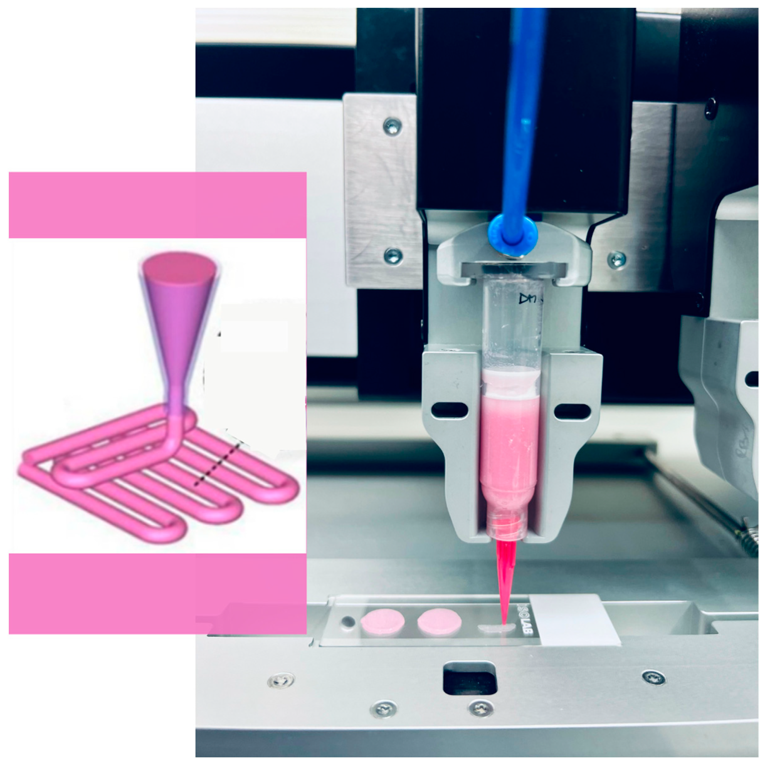 Biomedicines 12 02028 g001