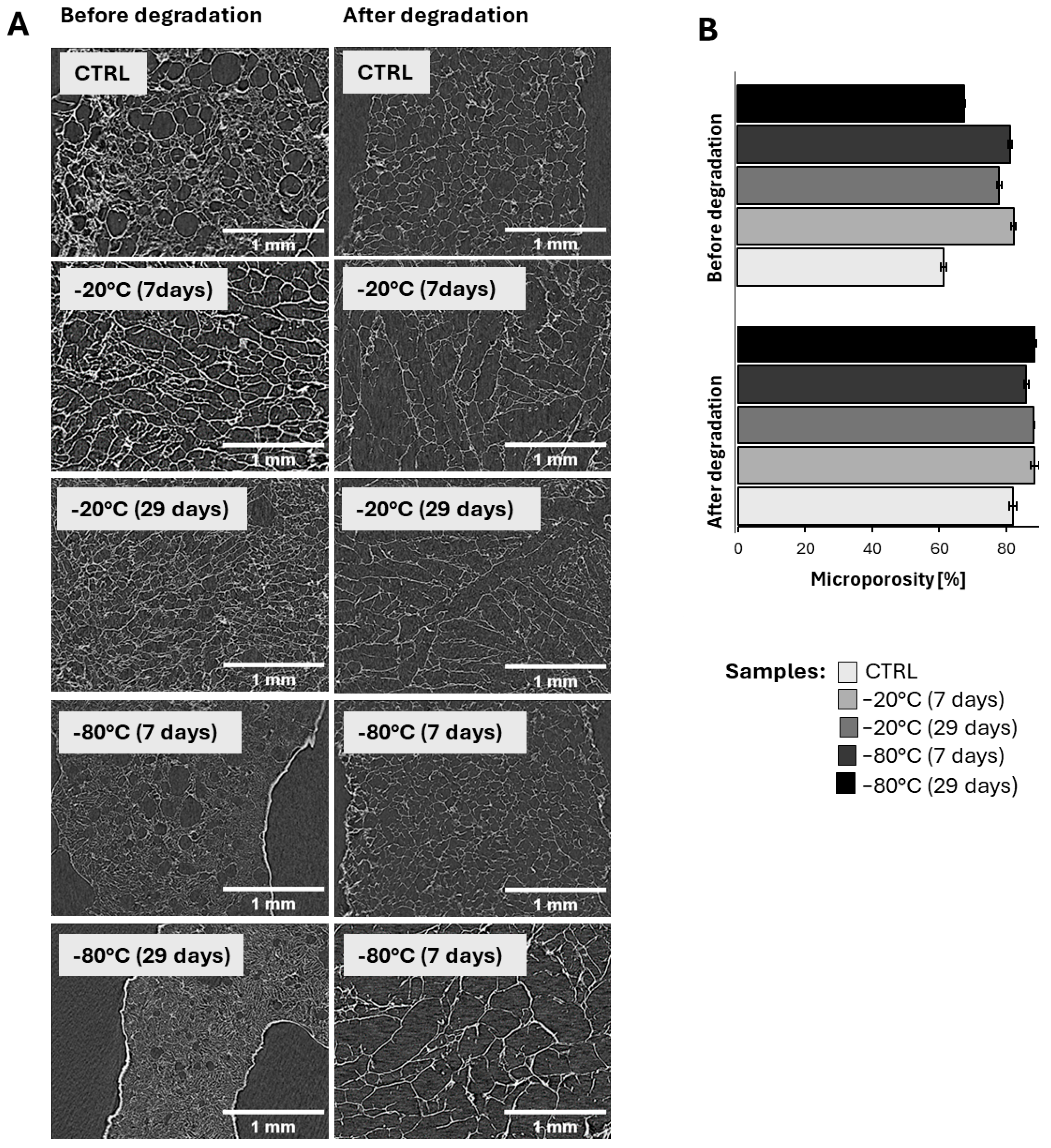 Biomedicines 12 02028 g007