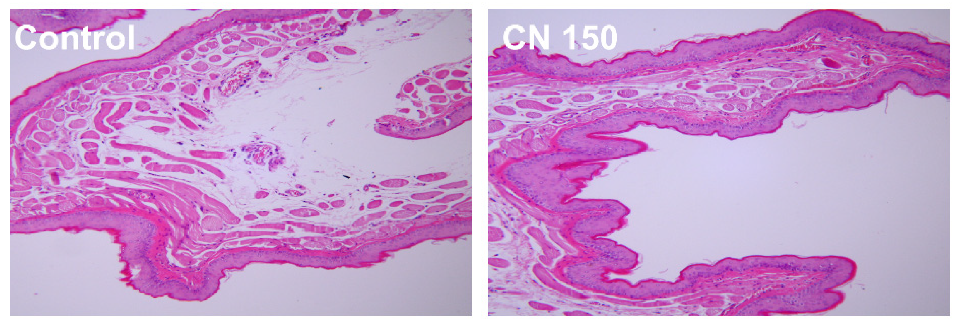 Biomedicines 12 02029 g002