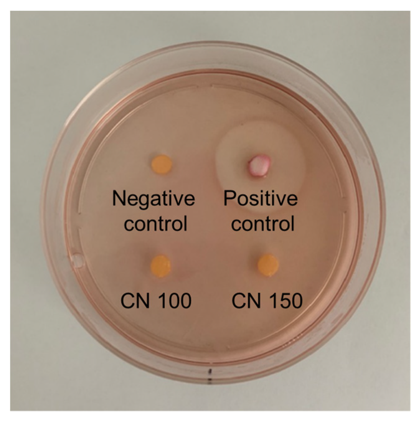 Biomedicines 12 02029 g007