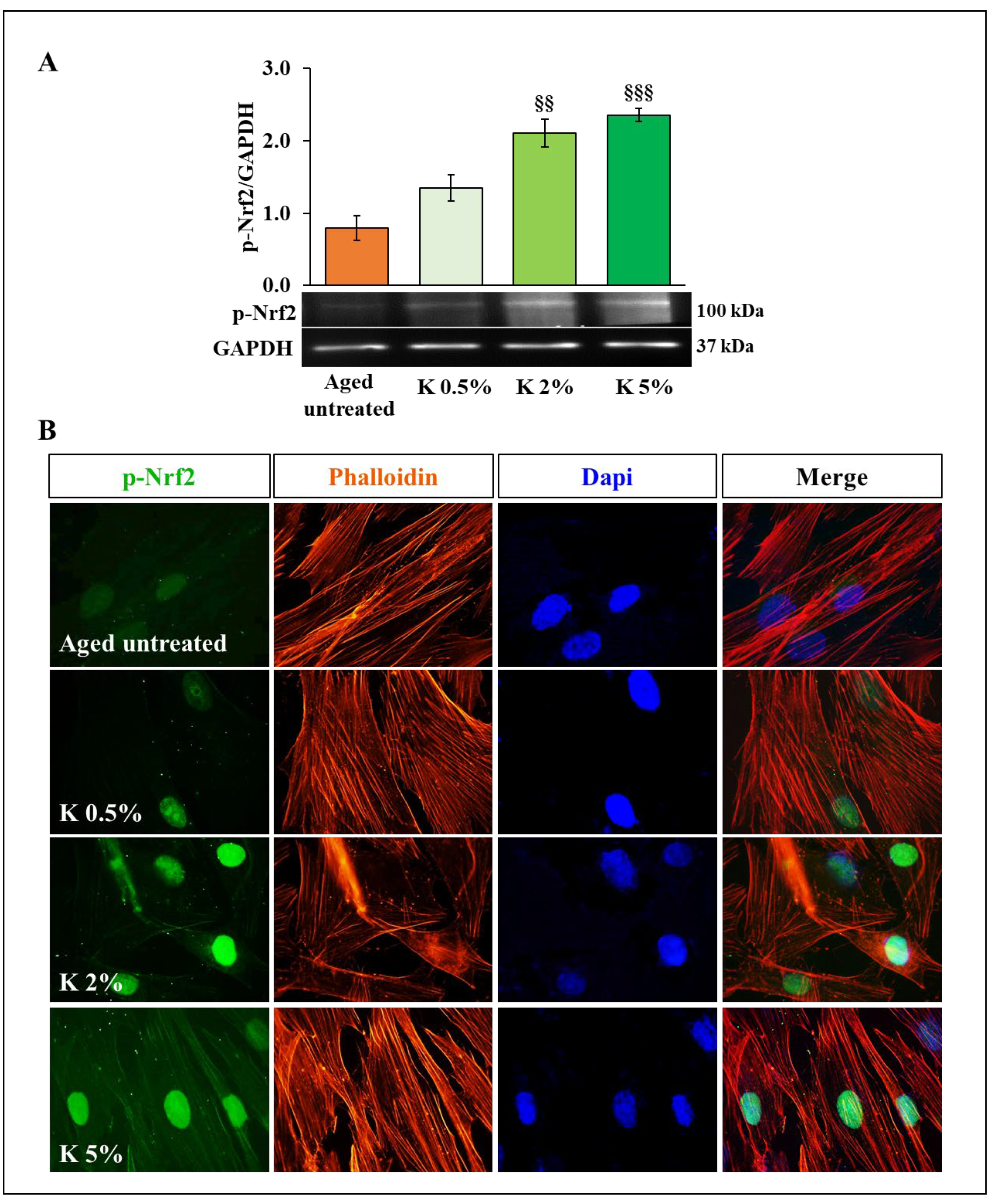 Biomedicines 12 02030 g004