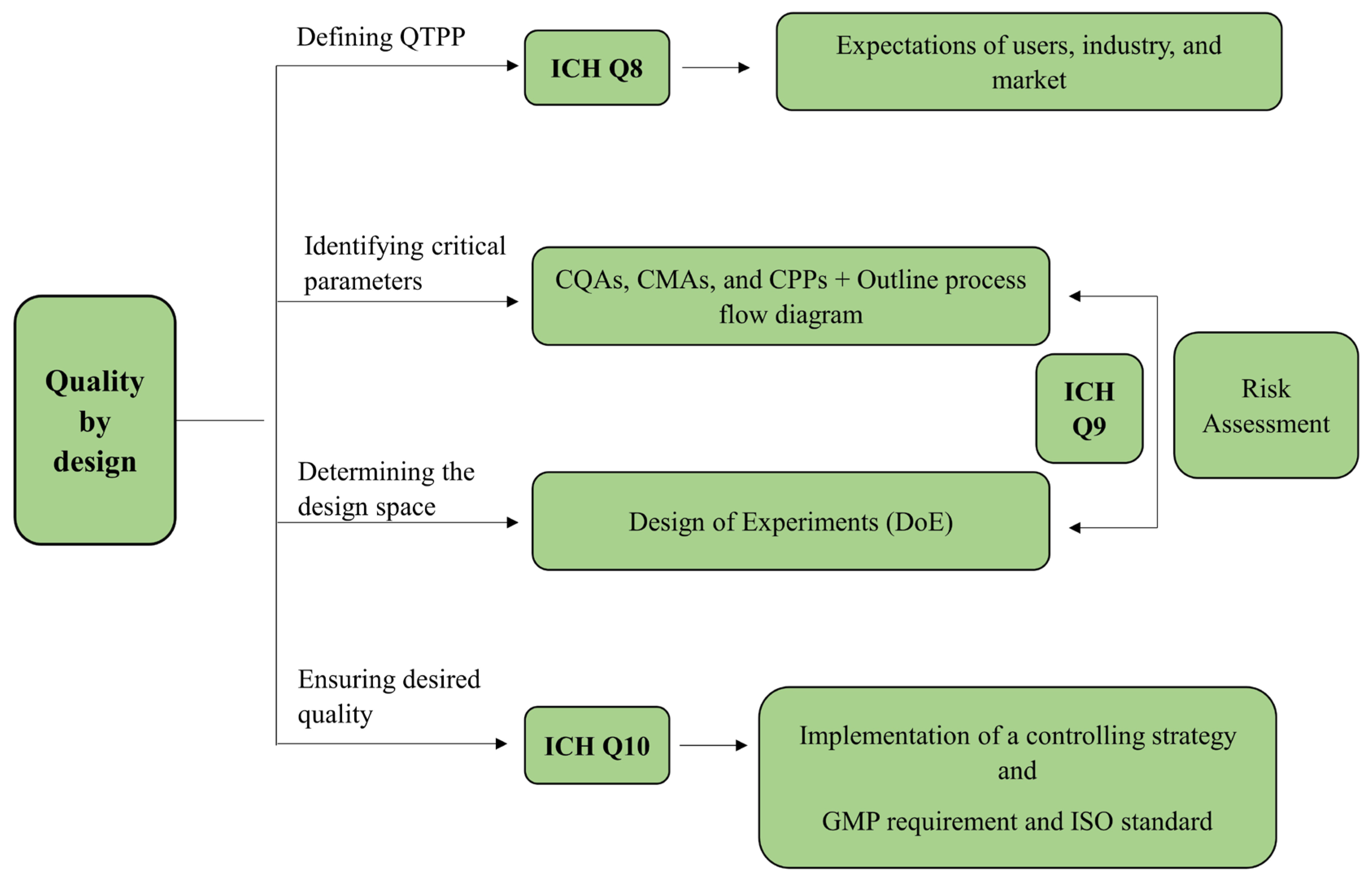 Biomedicines 12 02032 g001