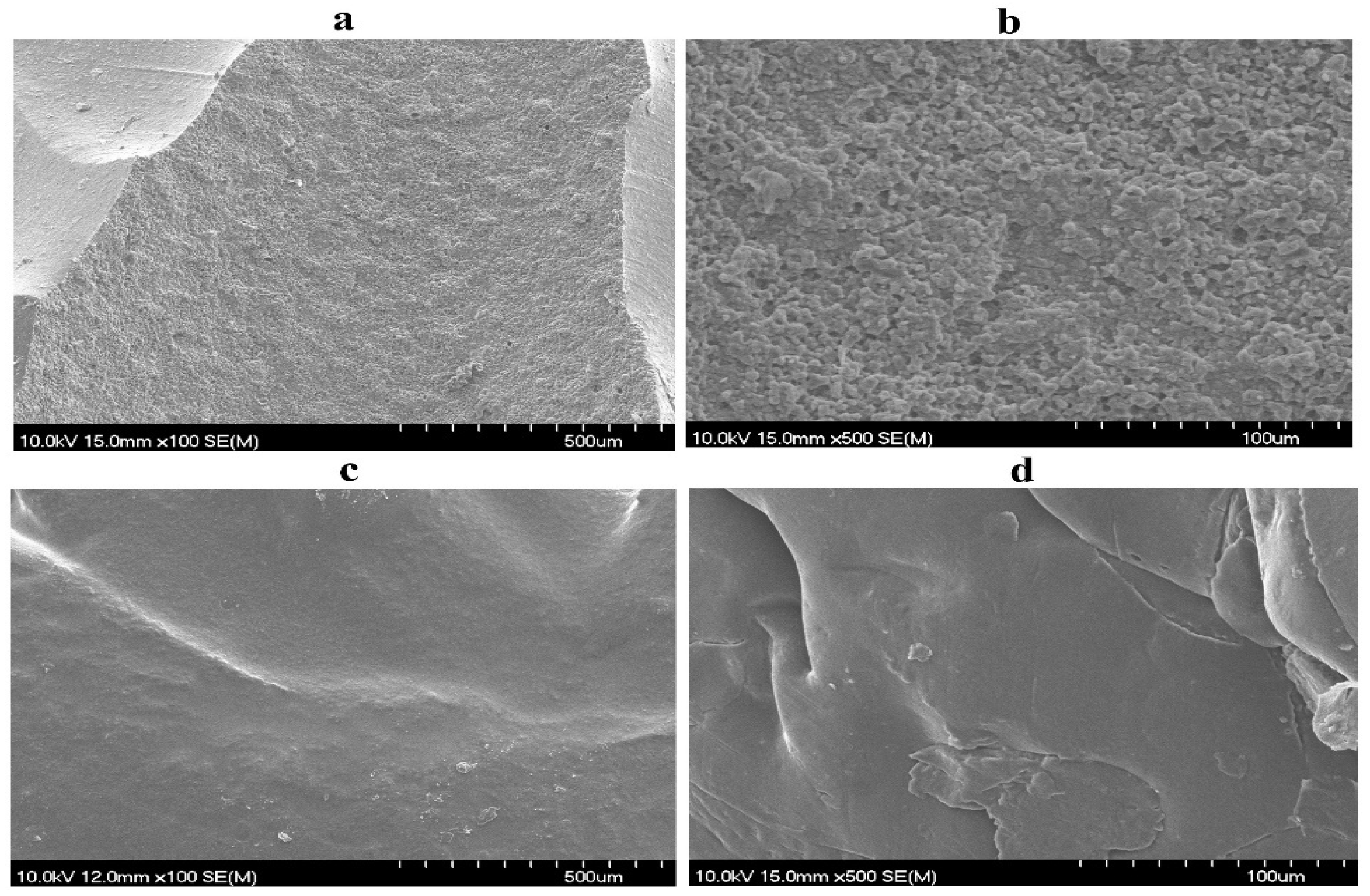 Biomedicines 12 02032 g005